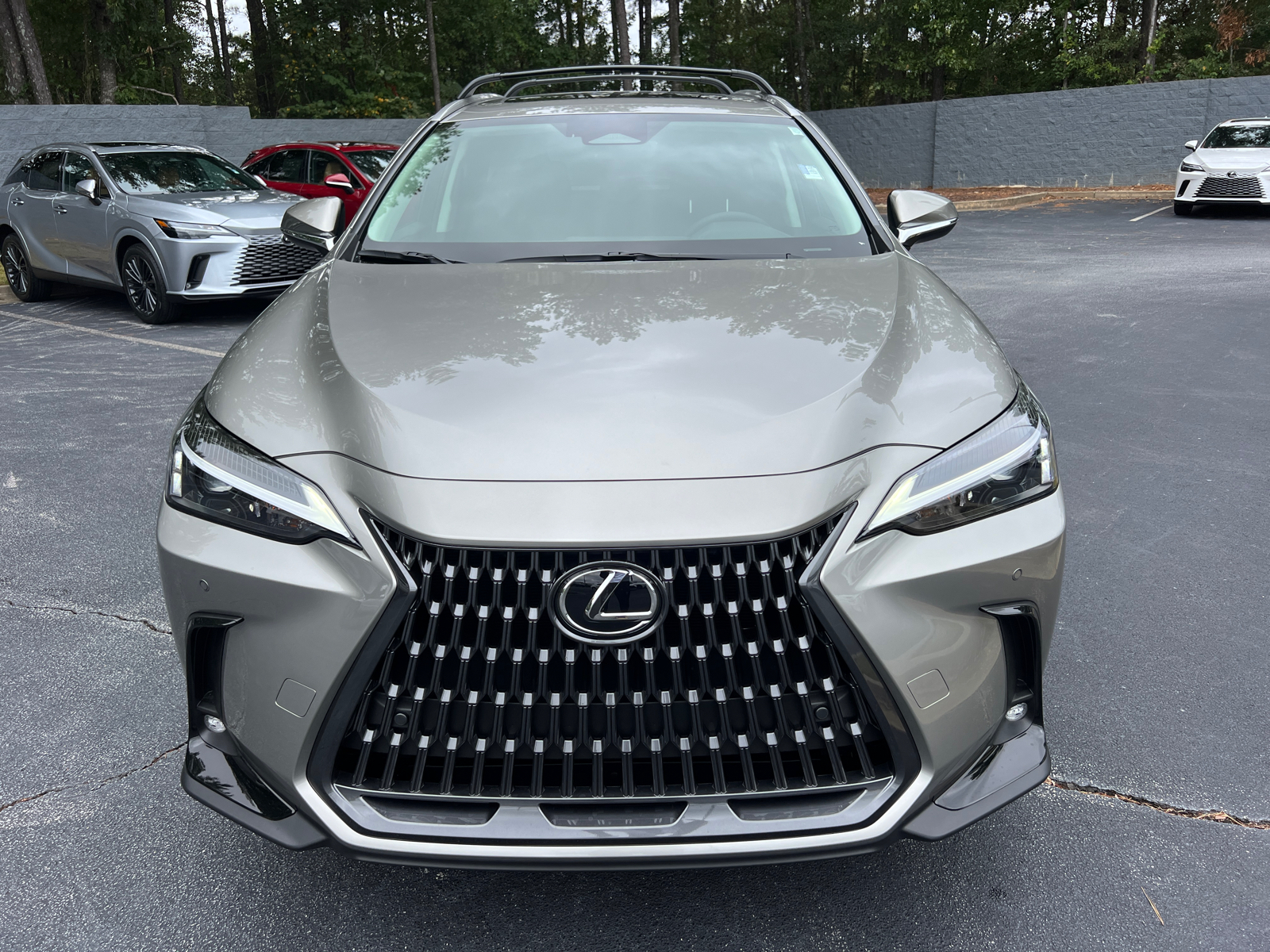 2025 Lexus NX NX 250 3