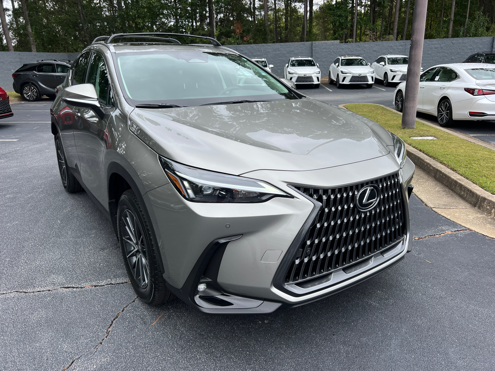 2025 Lexus NX NX 250 4