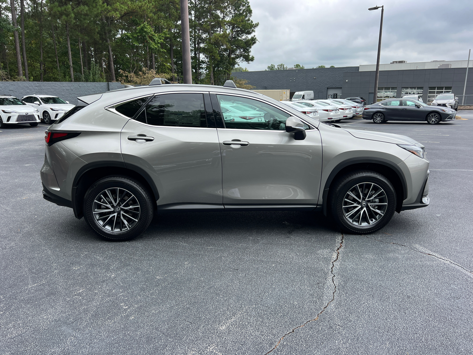 2025 Lexus NX NX 250 5