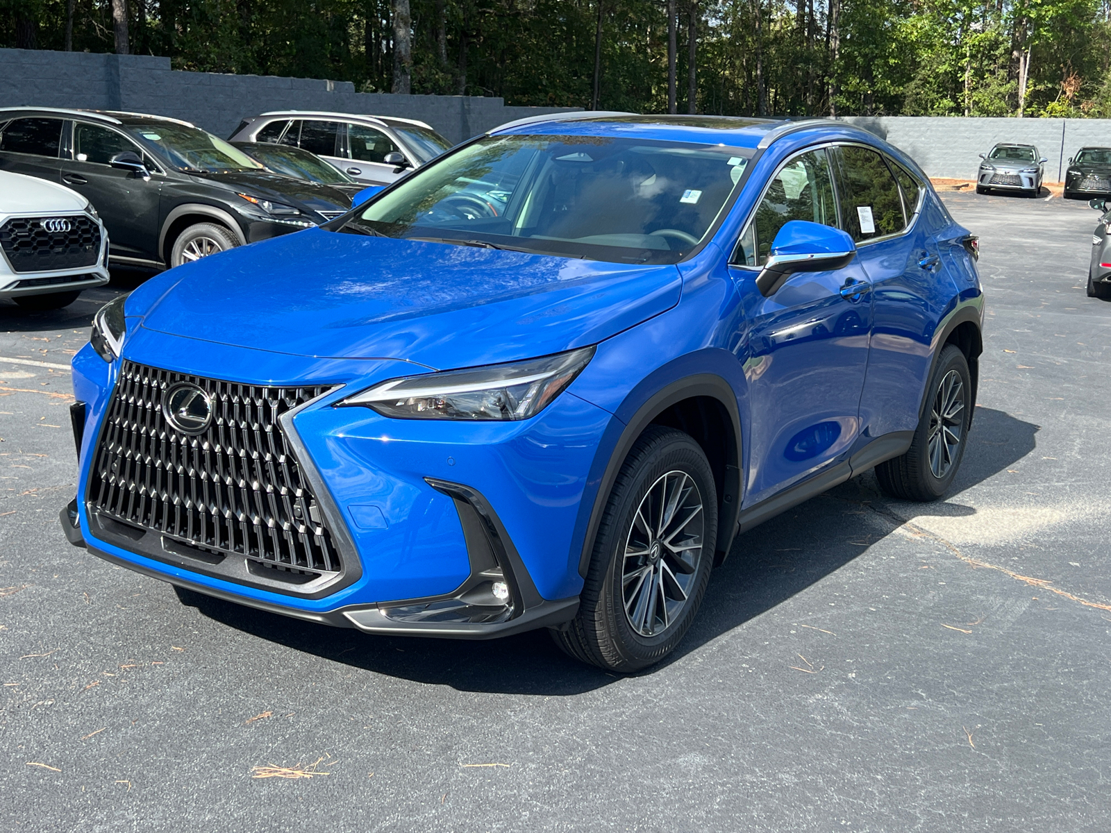 2025 Lexus NX NX 250 2