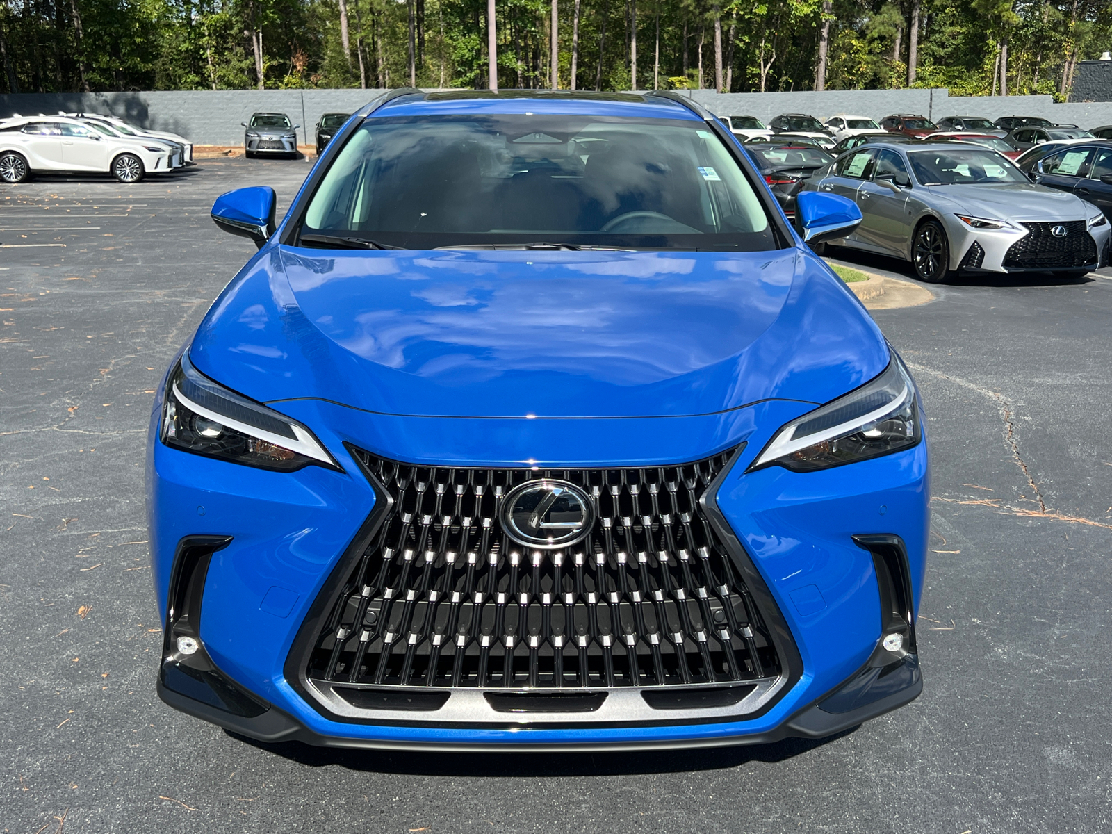 2025 Lexus NX NX 250 3