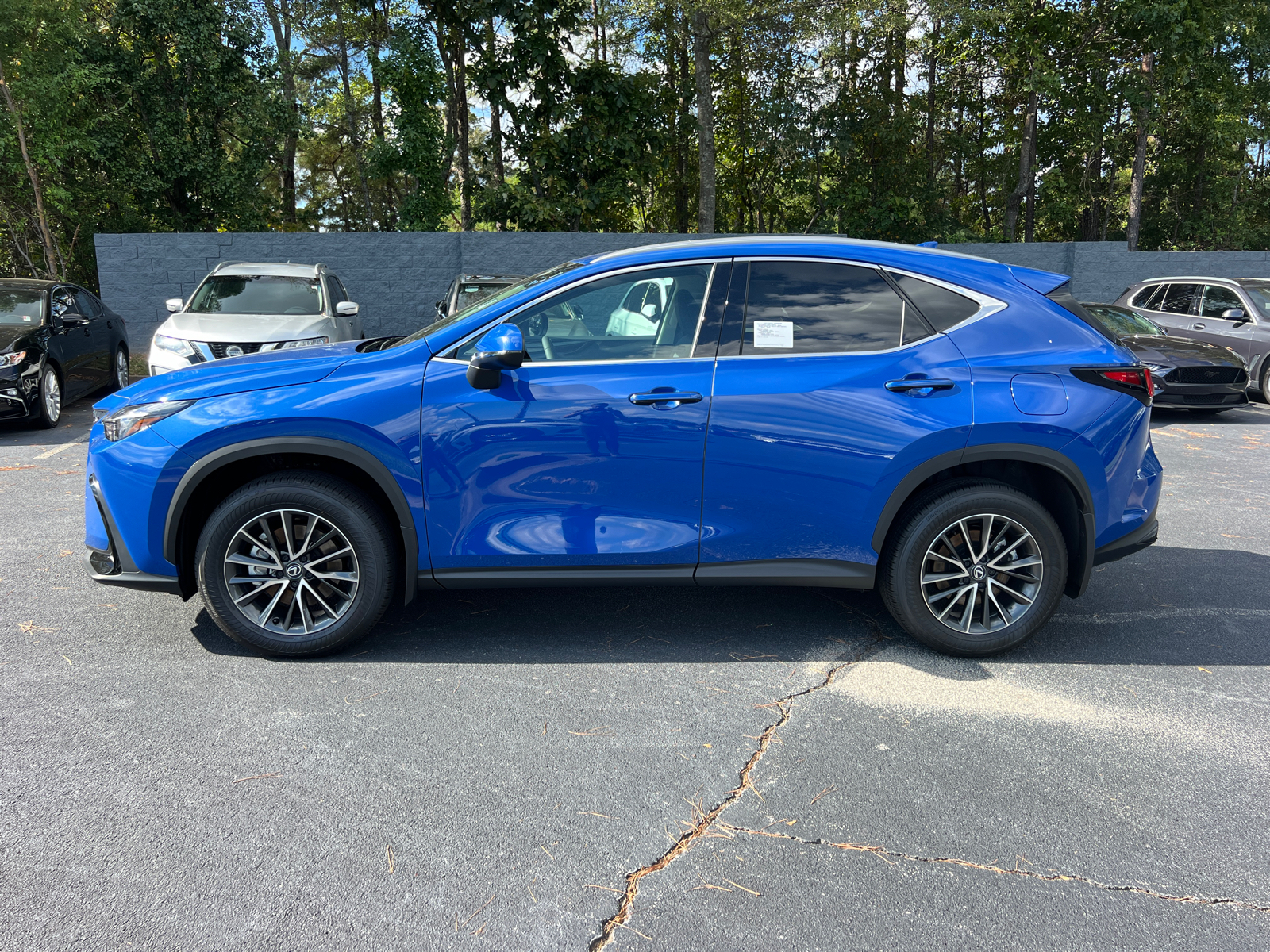 2025 Lexus NX NX 250 9