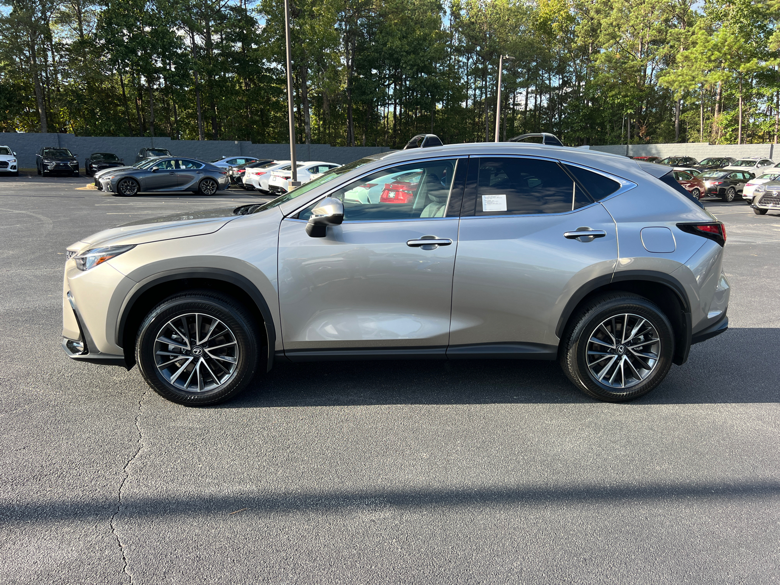 2025 Lexus NX NX 250 9