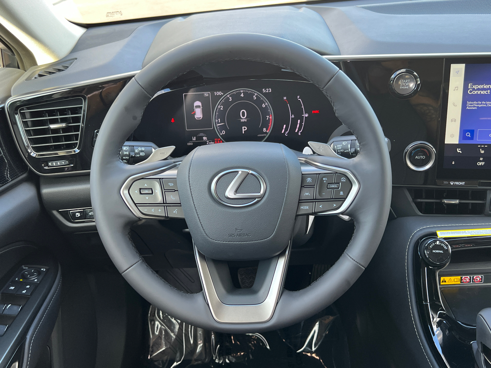 2025 Lexus NX NX 250 18