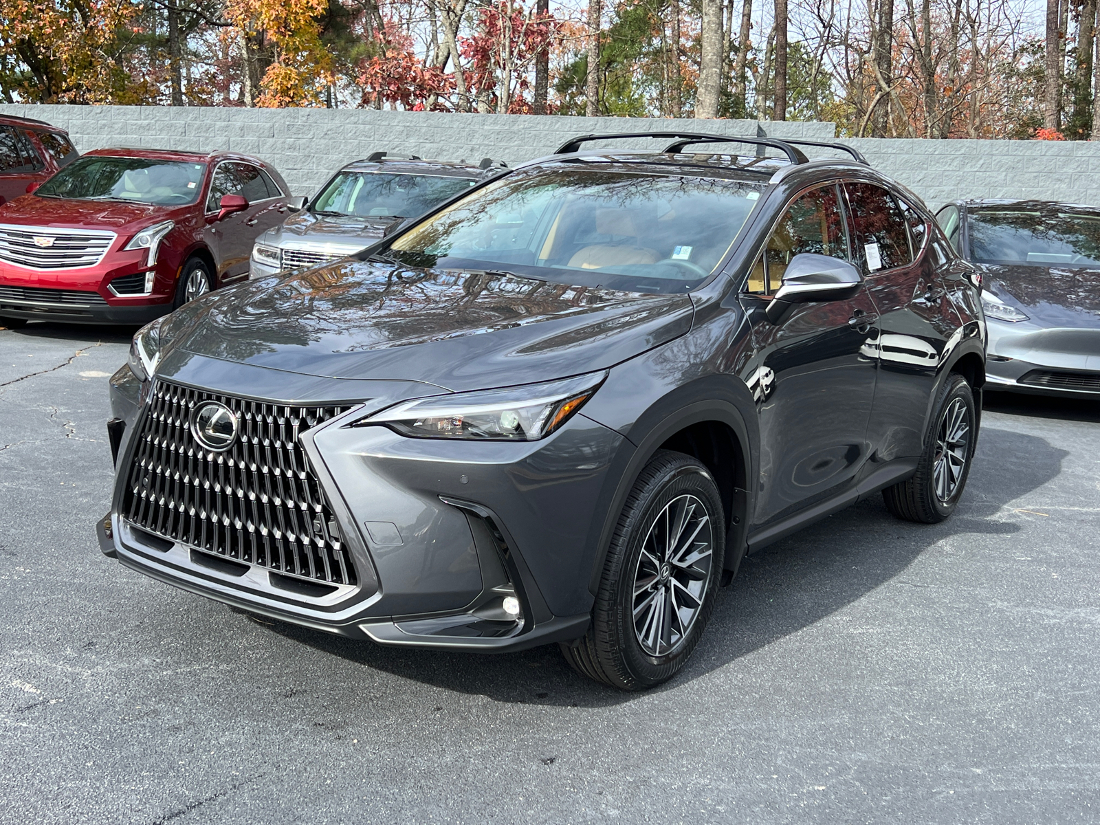 2025 Lexus NX NX 250 2