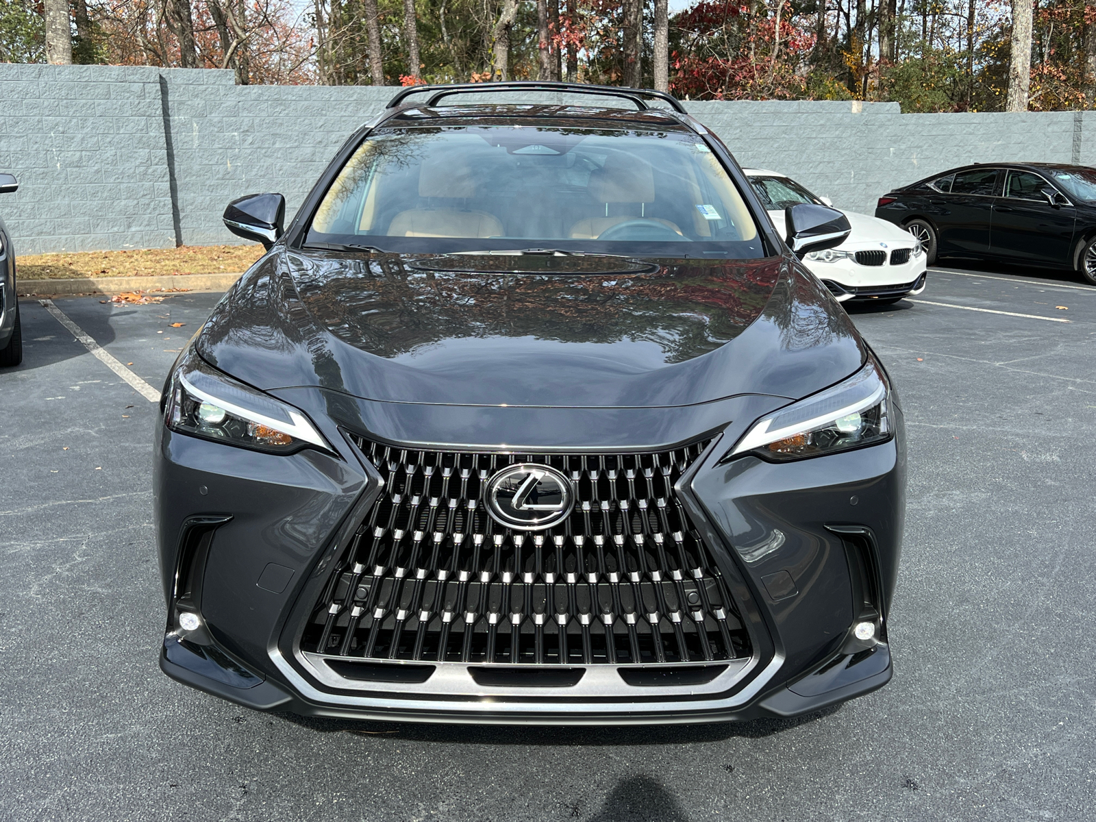 2025 Lexus NX NX 250 3