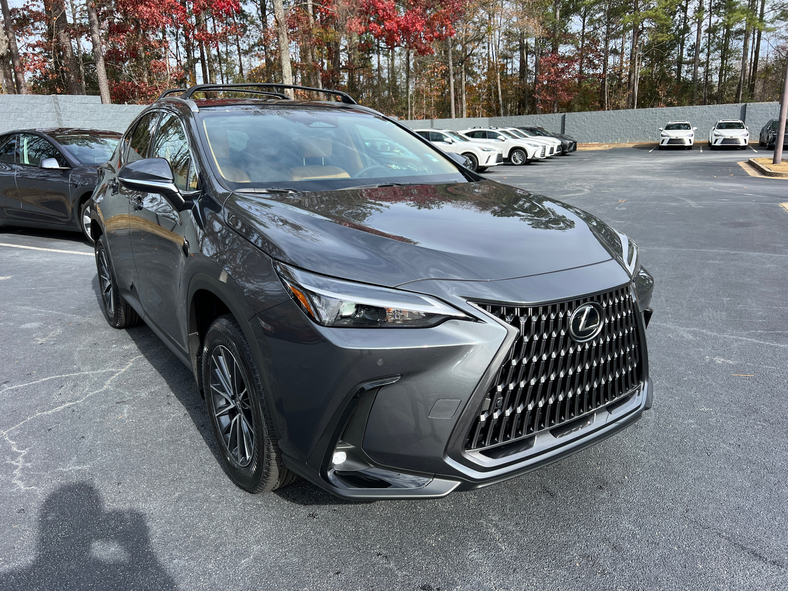 2025 Lexus NX NX 250 4