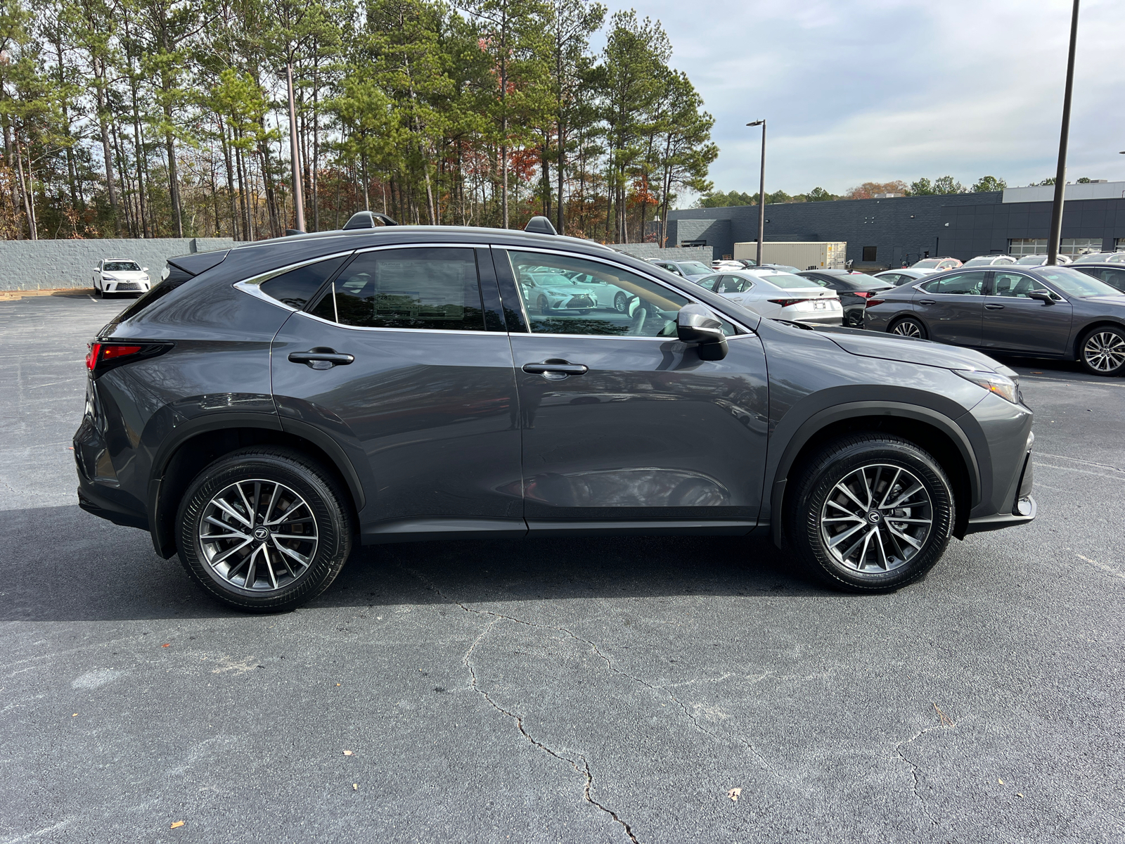 2025 Lexus NX NX 250 5