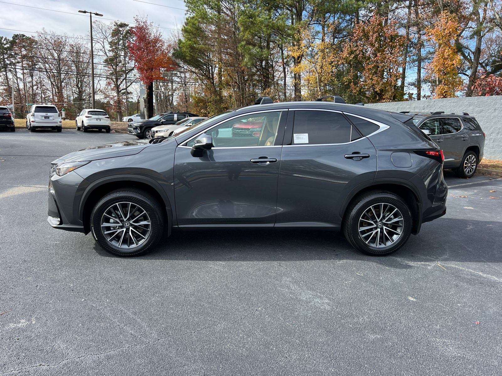 2025 Lexus NX NX 250 9