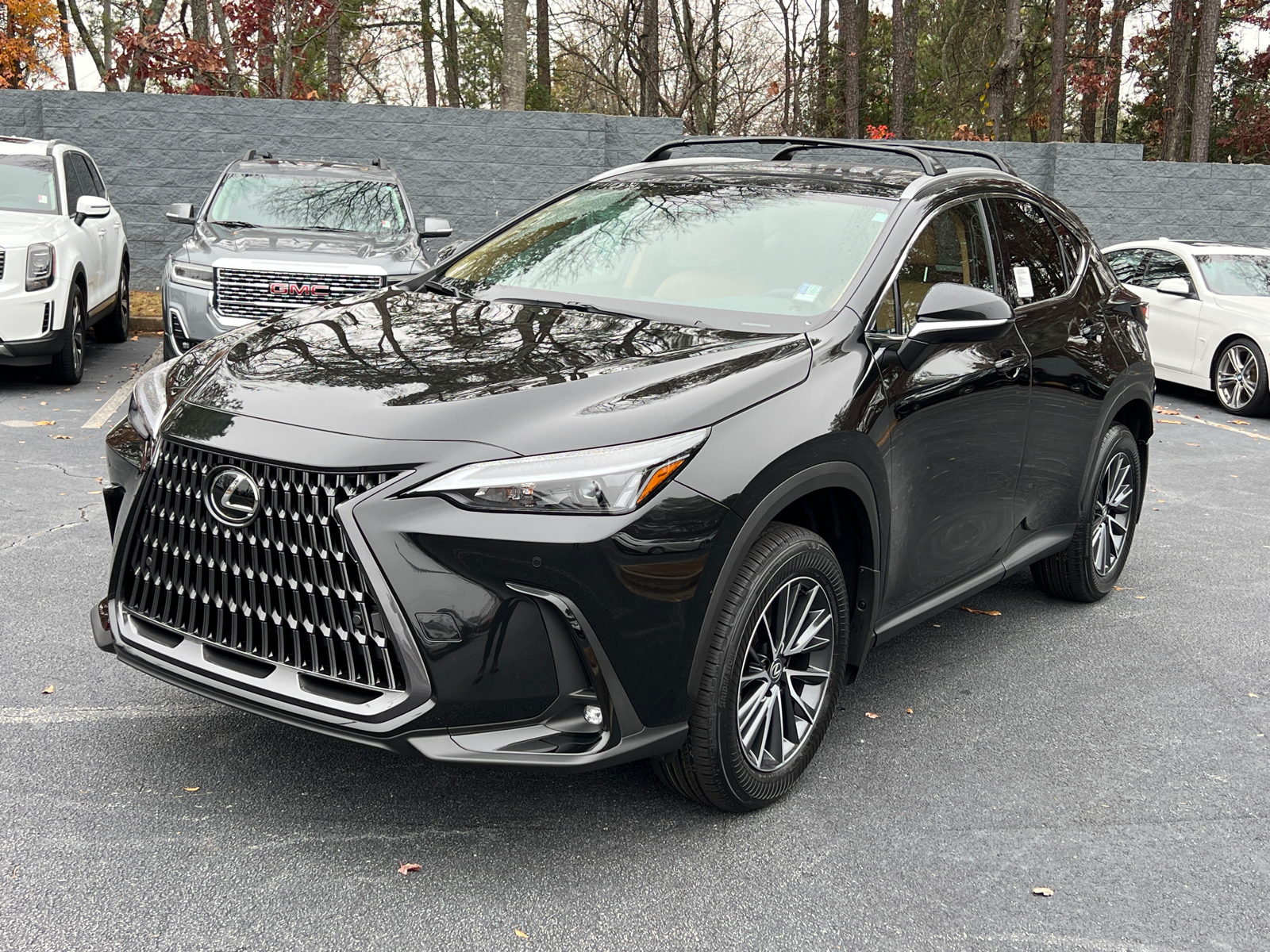 2025 Lexus NX NX 250 2