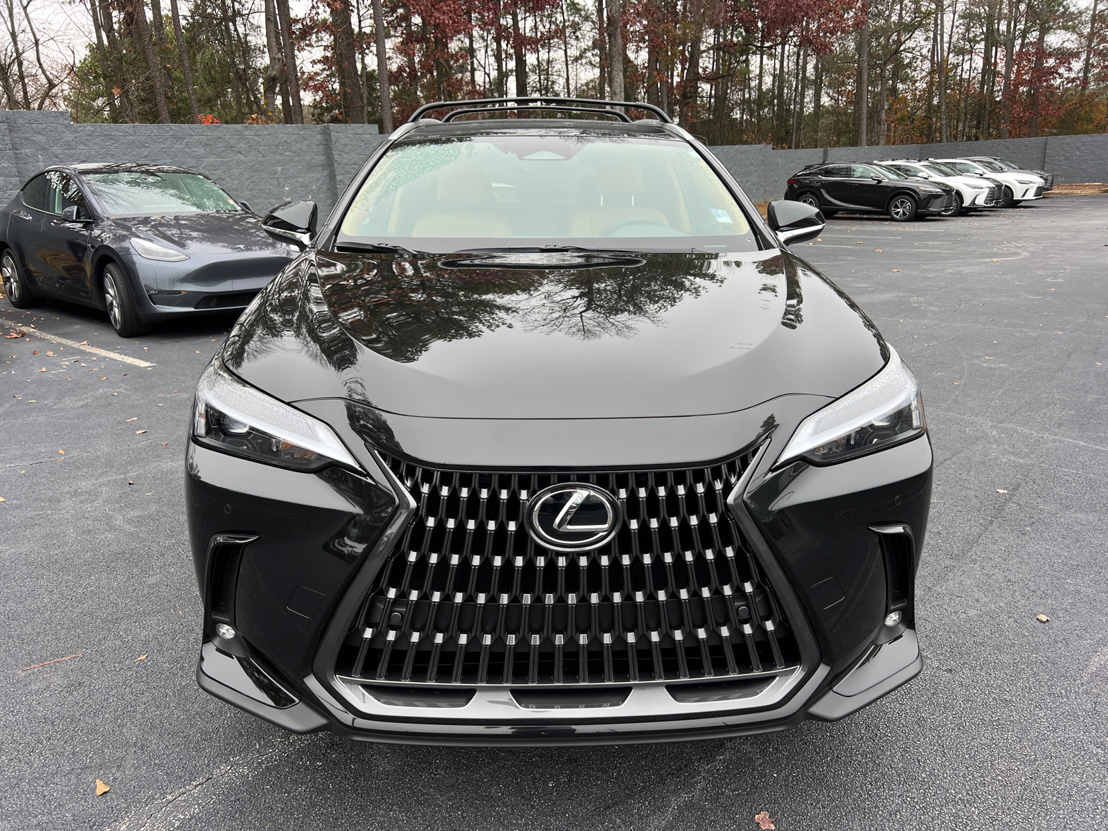 2025 Lexus NX NX 250 3