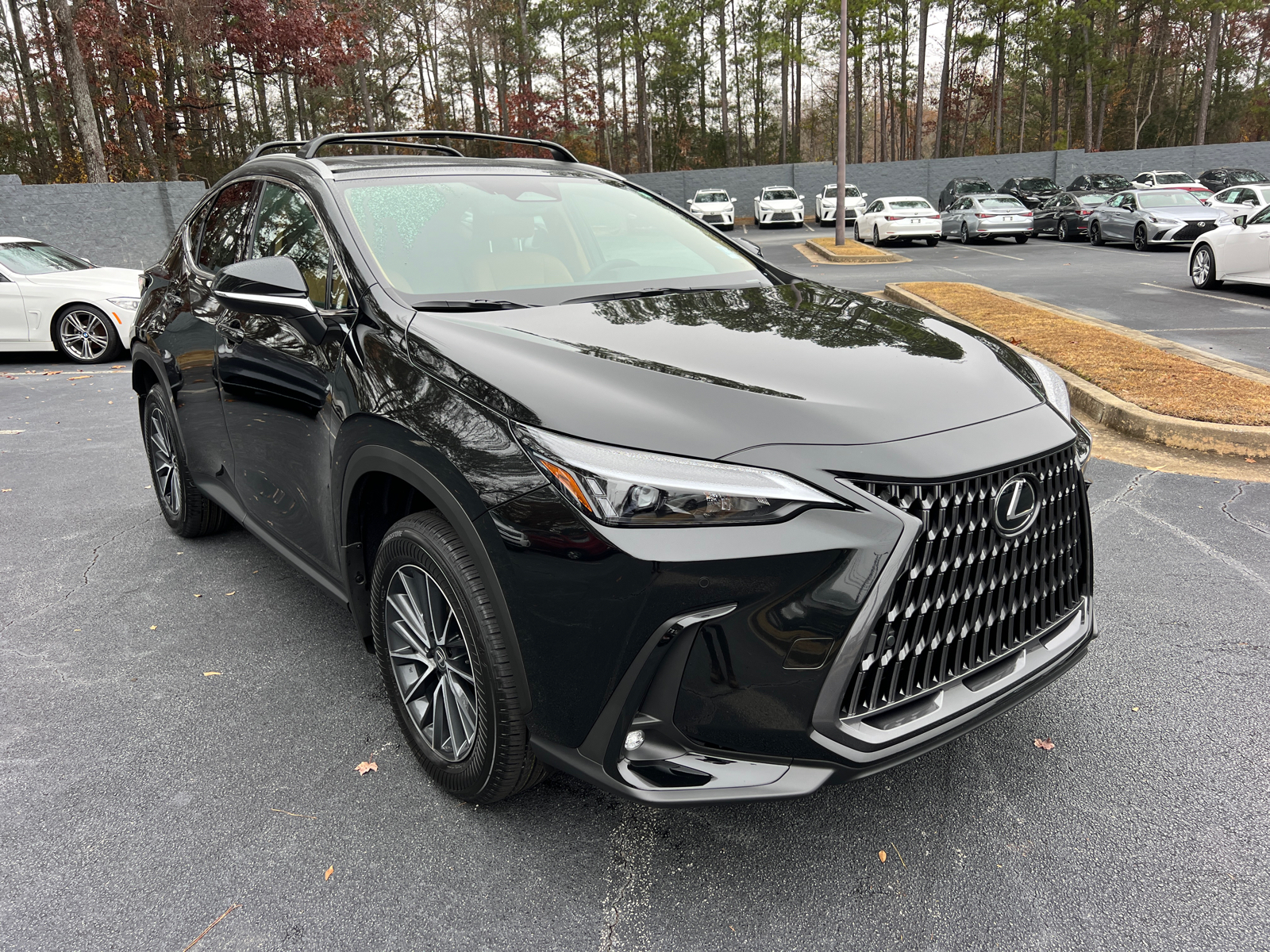 2025 Lexus NX NX 250 4