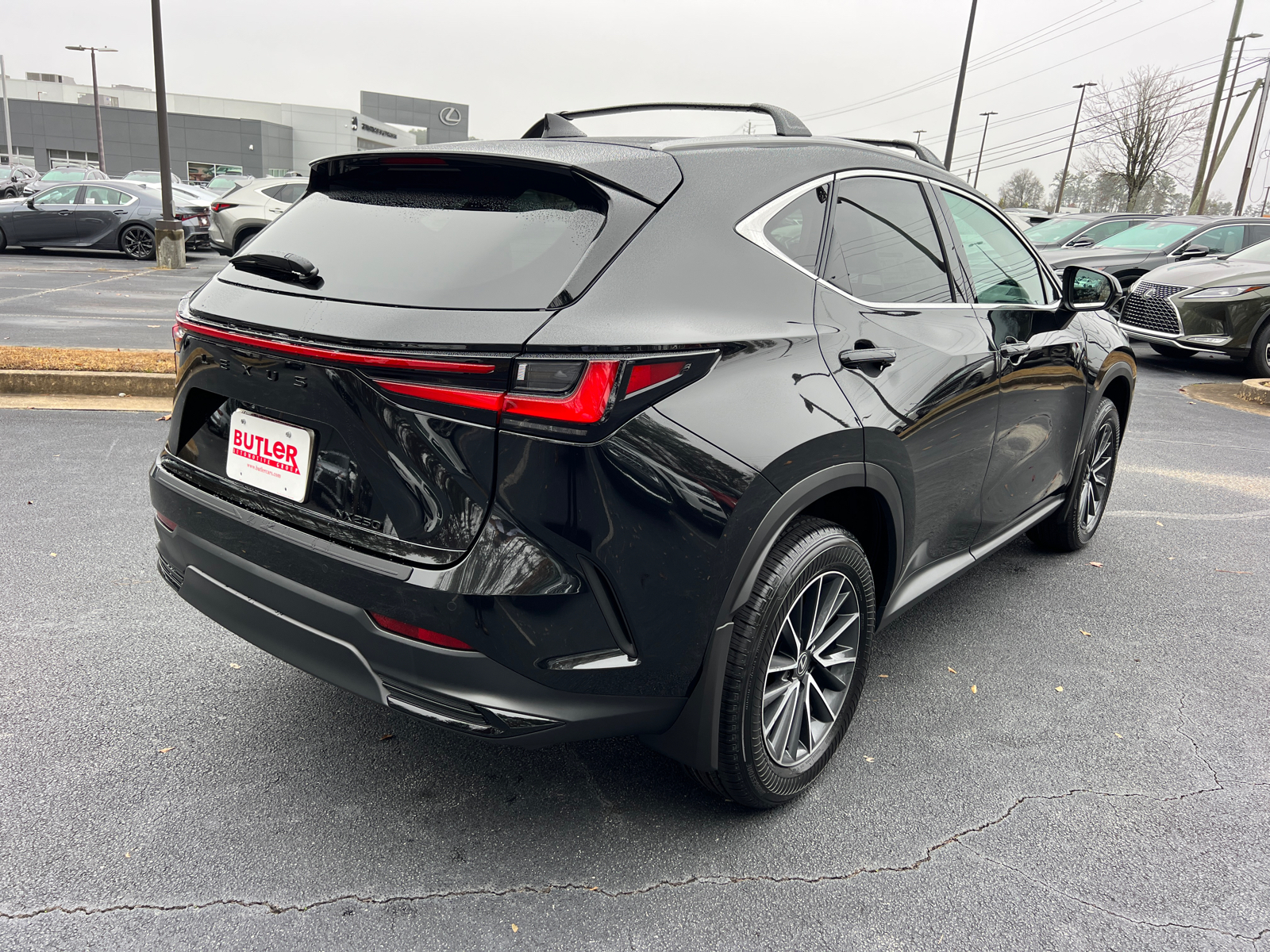 2025 Lexus NX NX 250 6