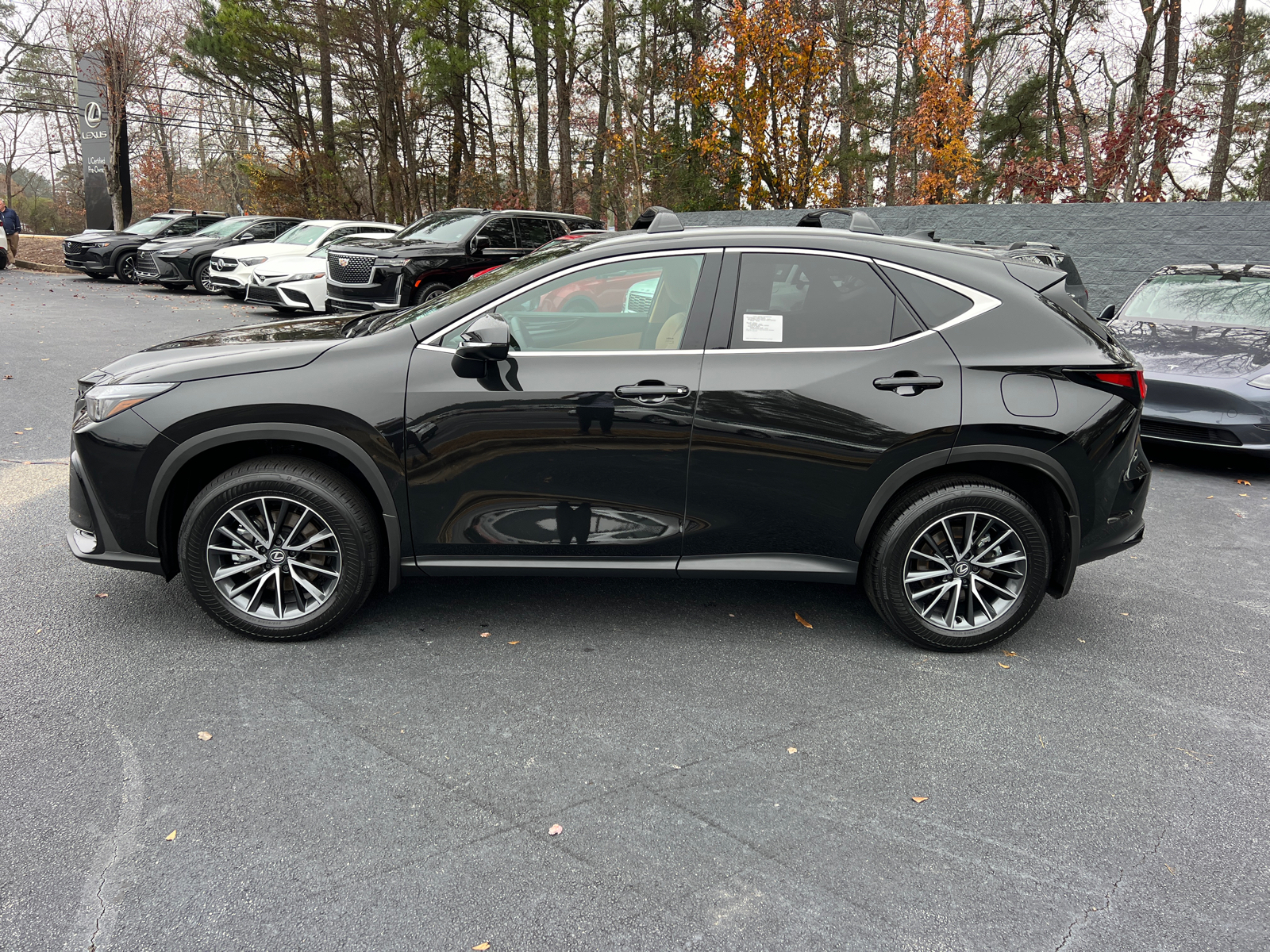 2025 Lexus NX NX 250 9