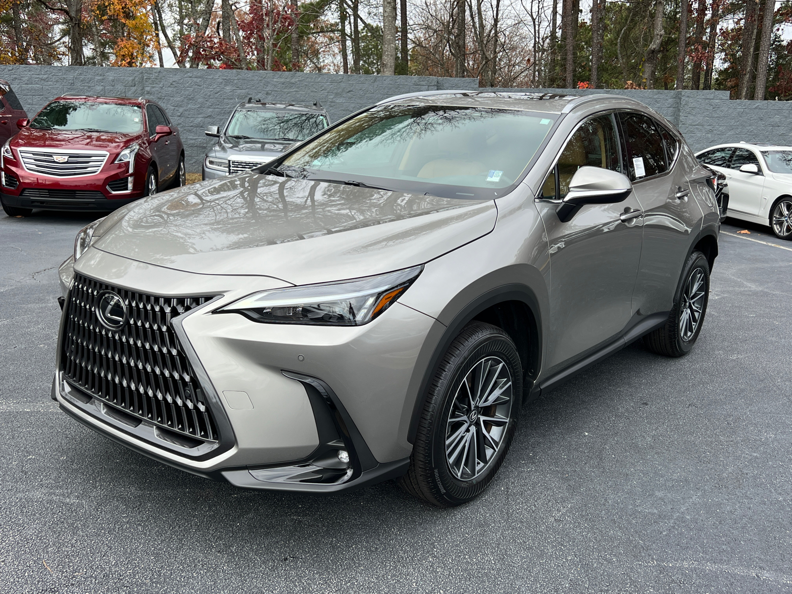 2025 Lexus NX NX 250 Premium 2