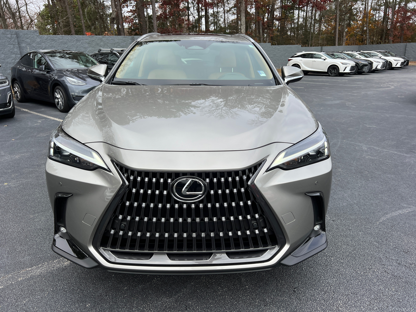 2025 Lexus NX NX 250 Premium 3