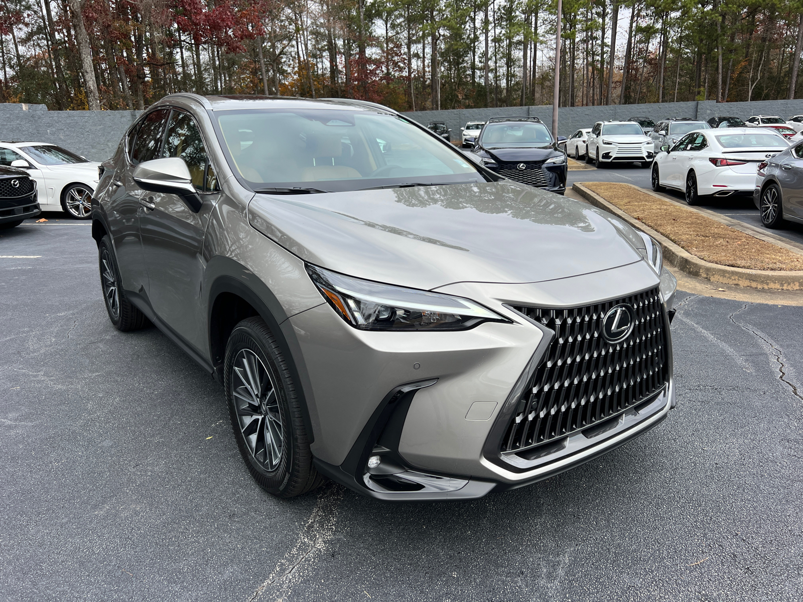 2025 Lexus NX NX 250 Premium 4