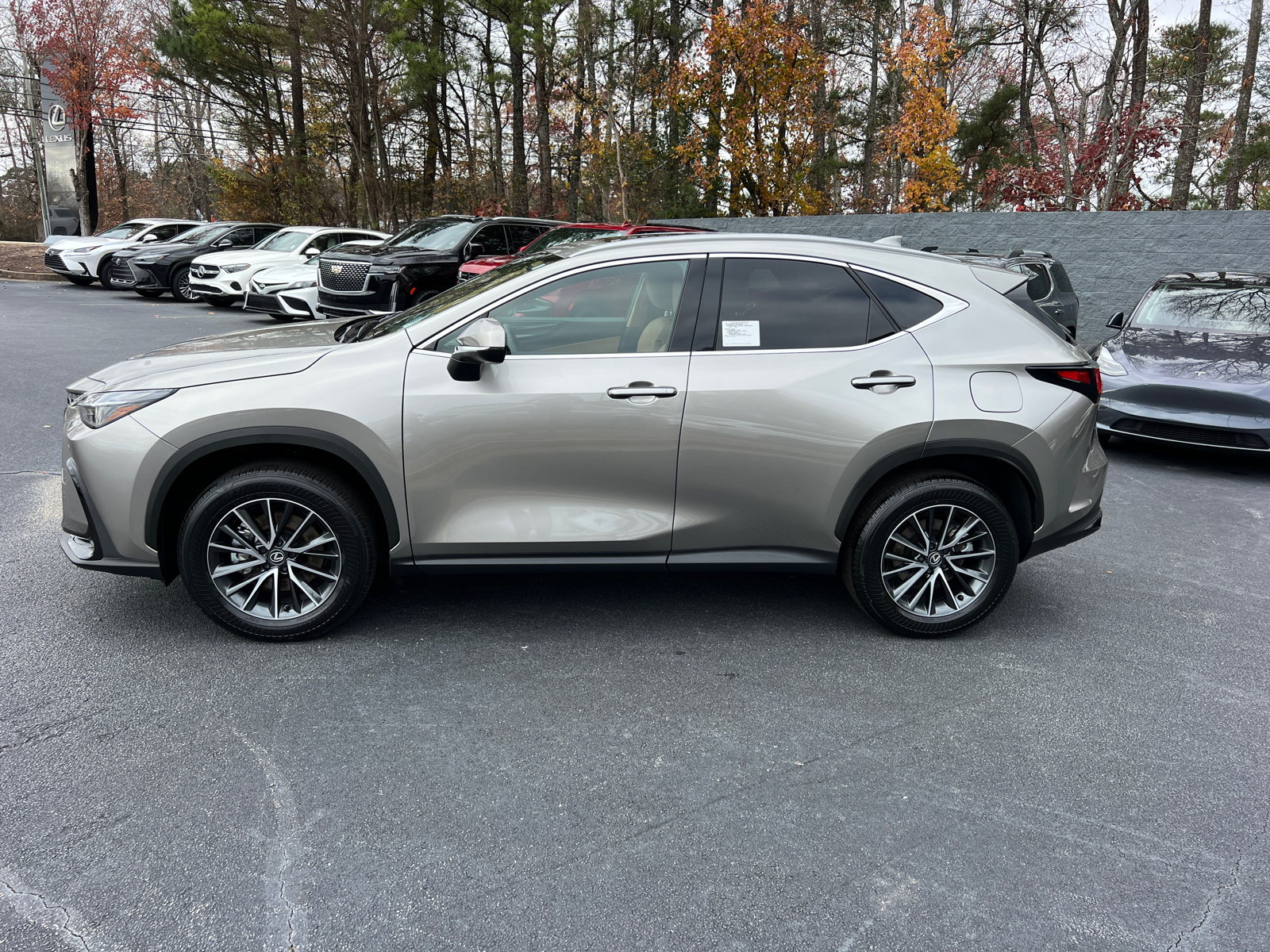 2025 Lexus NX NX 250 Premium 9