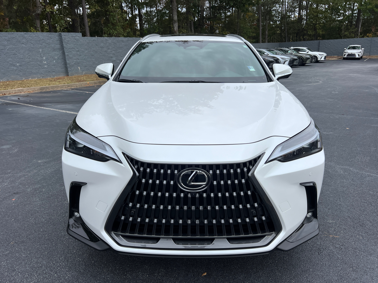 2025 Lexus NX NX 350h Premium 3