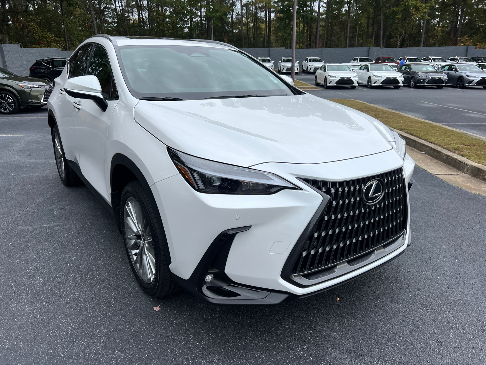 2025 Lexus NX NX 350h Premium 4