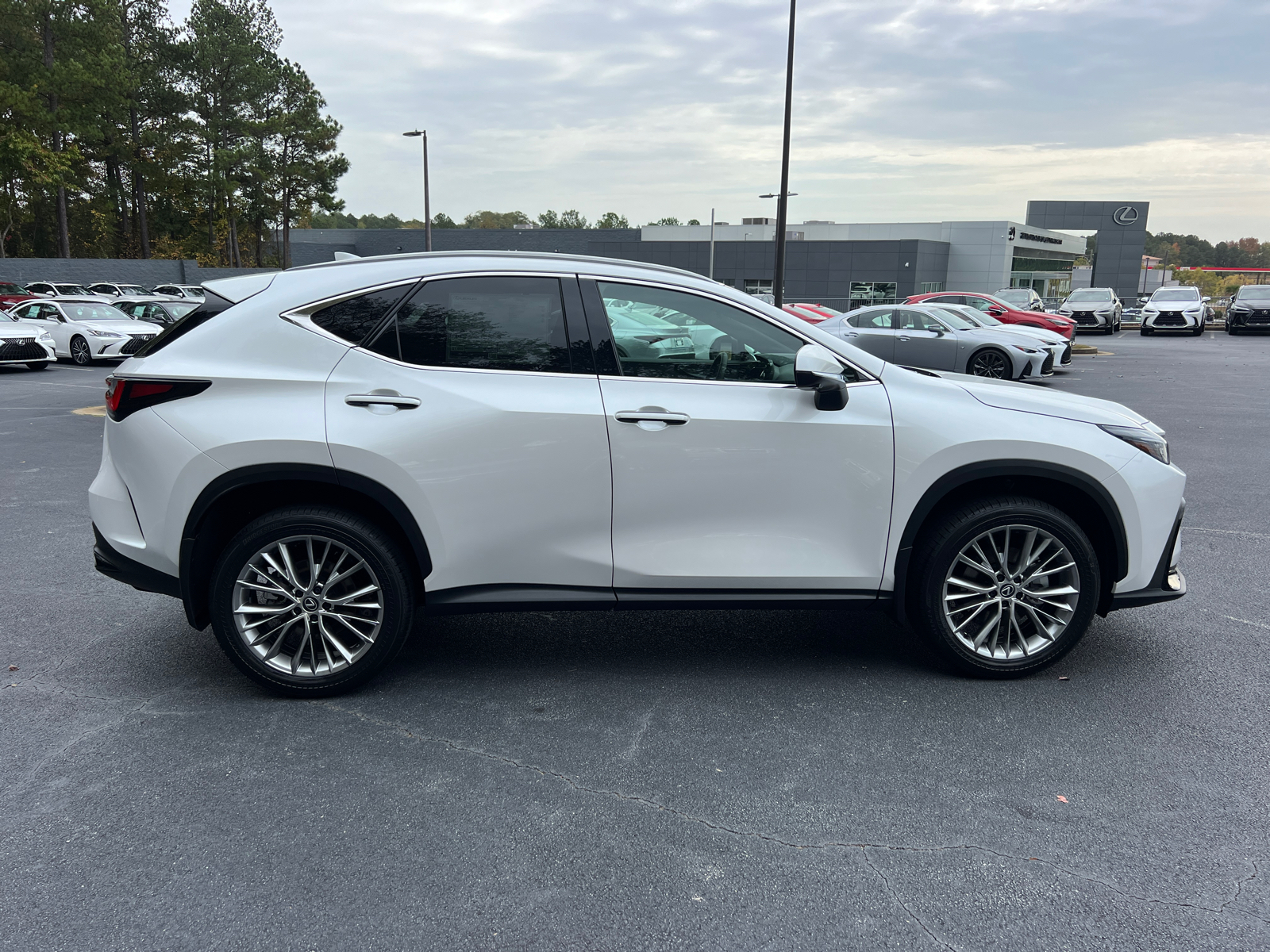 2025 Lexus NX NX 350h Premium 5