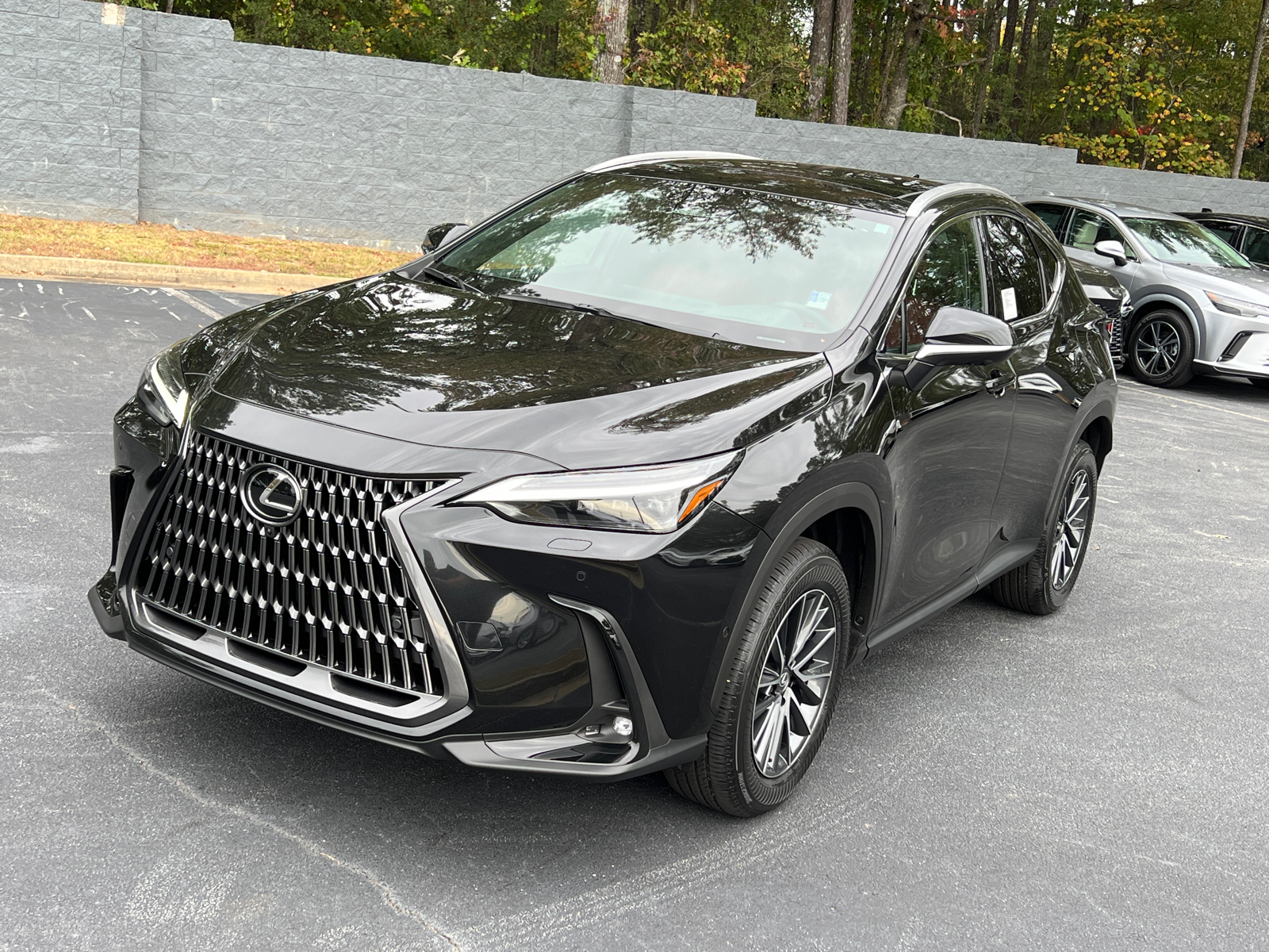 2025 Lexus NX NX 350h Luxury 2