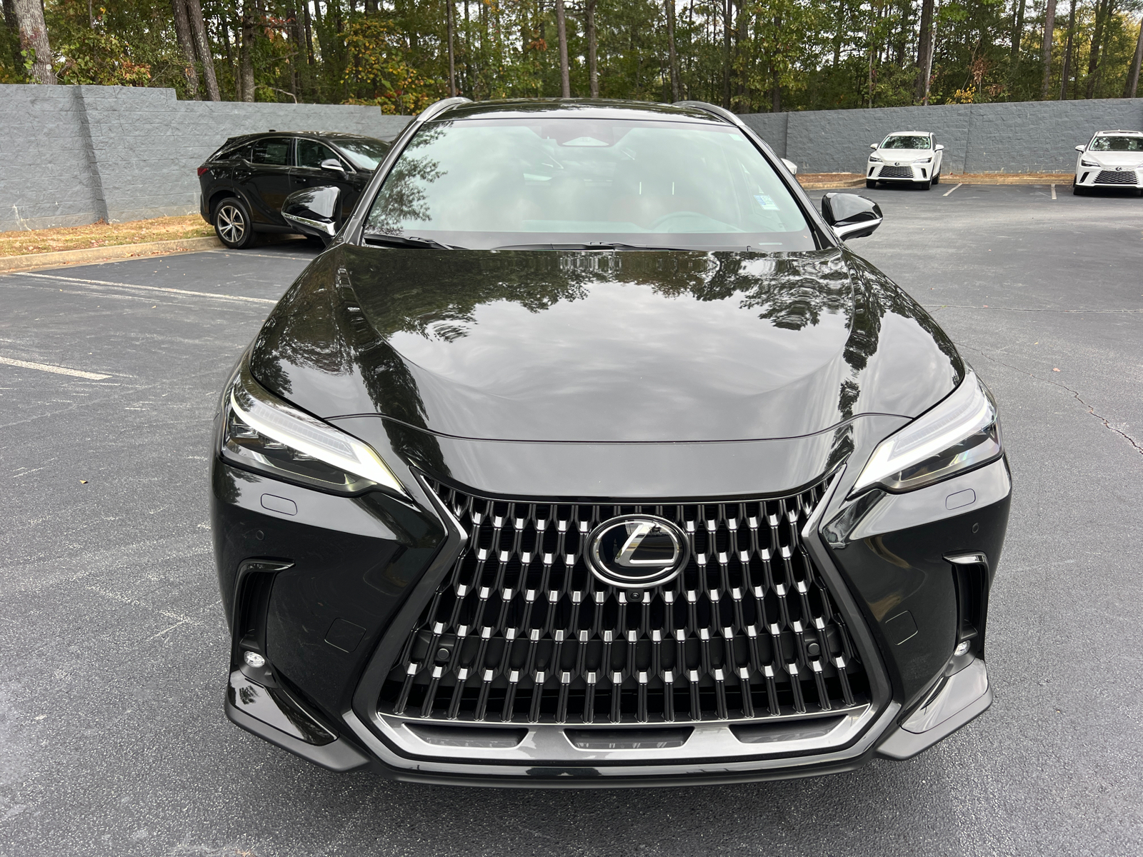 2025 Lexus NX NX 350h Luxury 3