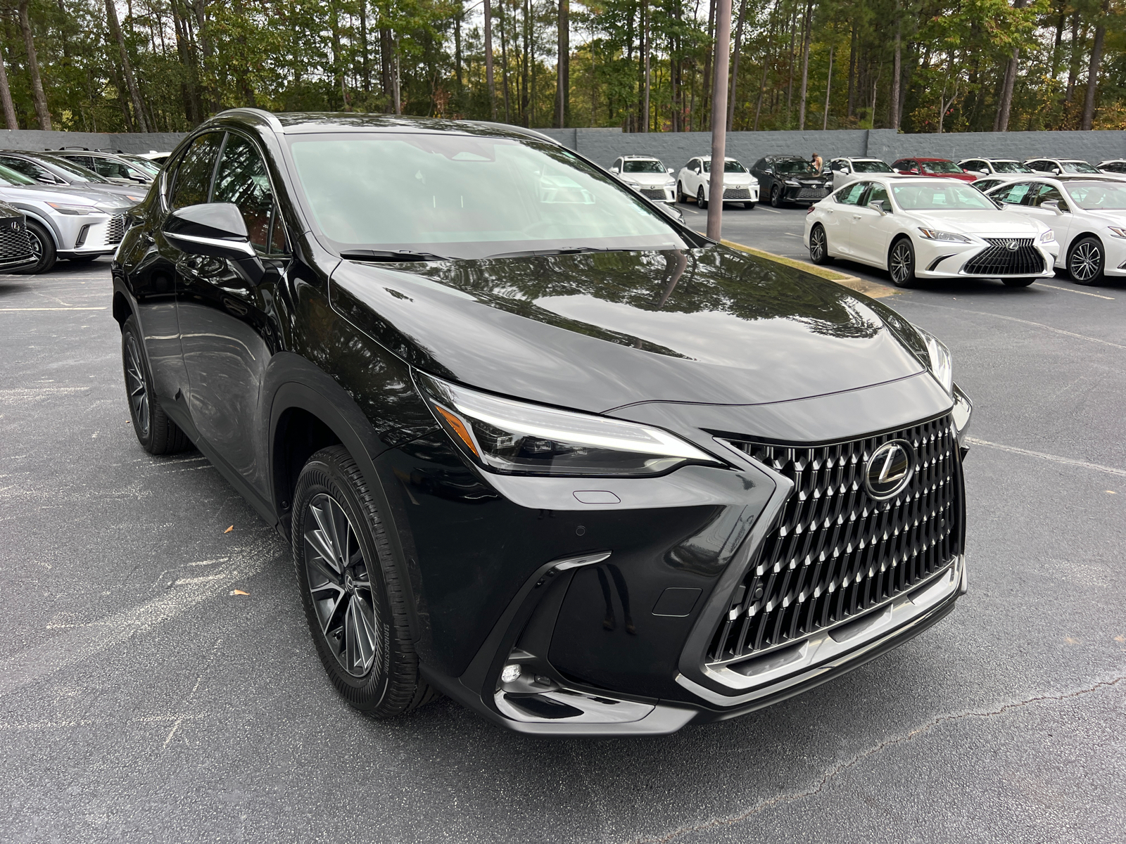 2025 Lexus NX NX 350h Luxury 4