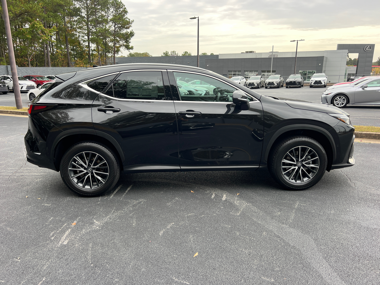 2025 Lexus NX NX 350h Luxury 5