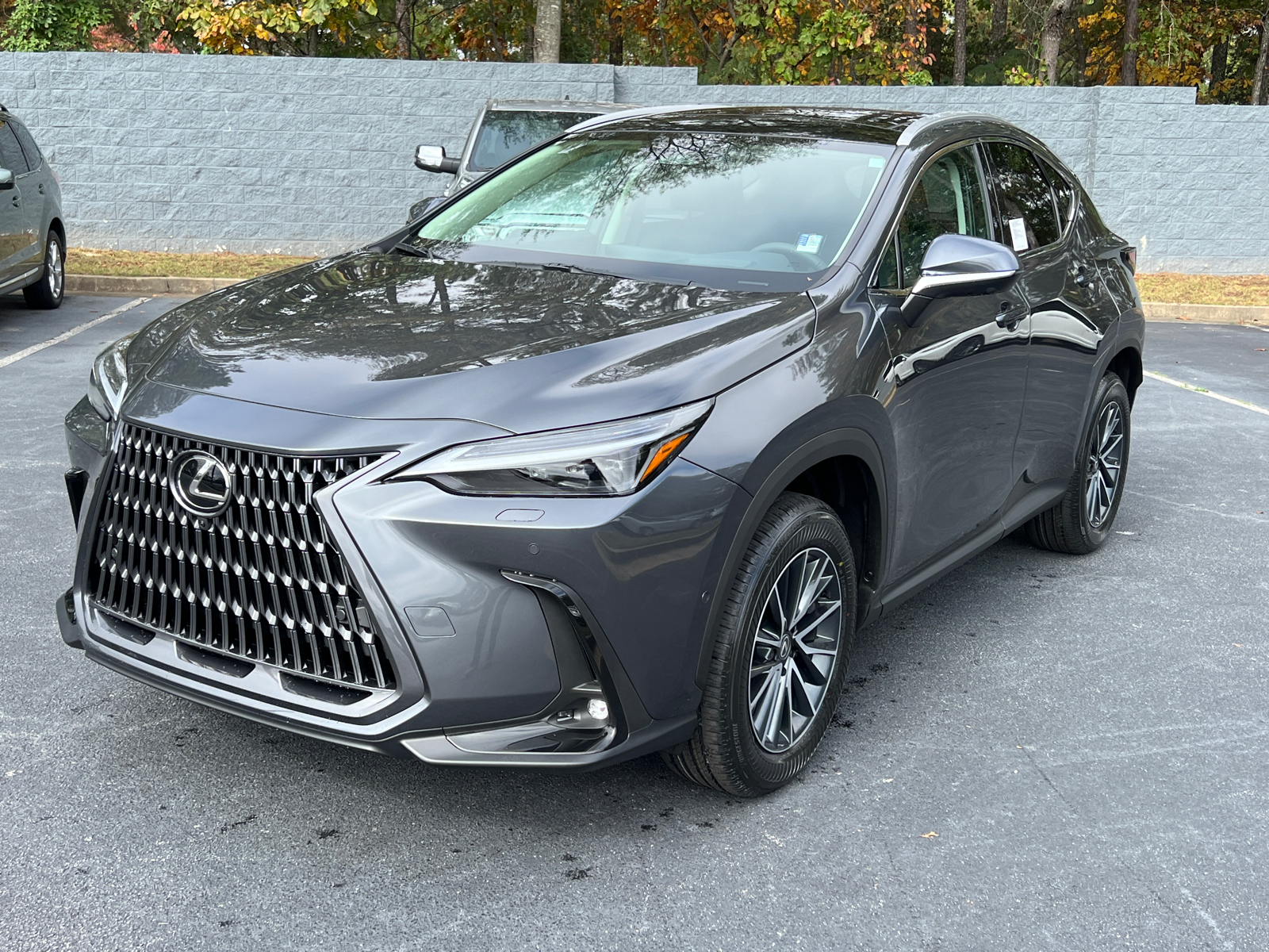 2025 Lexus NX NX 350h Luxury 2