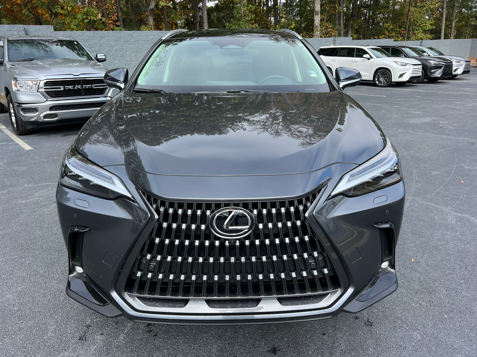 2025 Lexus NX NX 350h Luxury 3