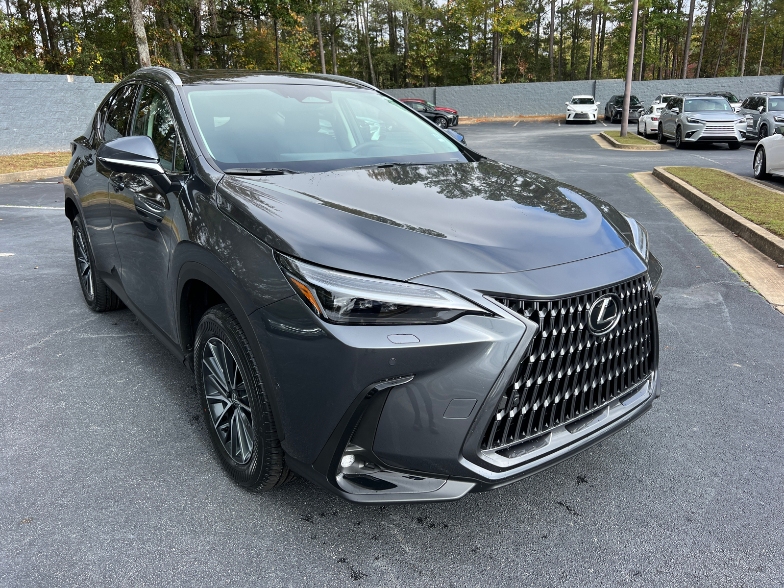 2025 Lexus NX NX 350h Luxury 4