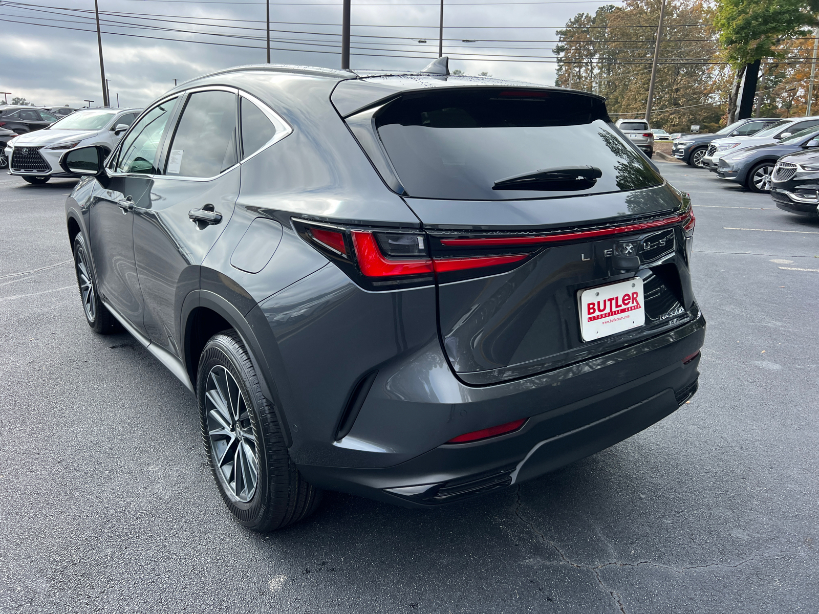 2025 Lexus NX NX 350h Luxury 8