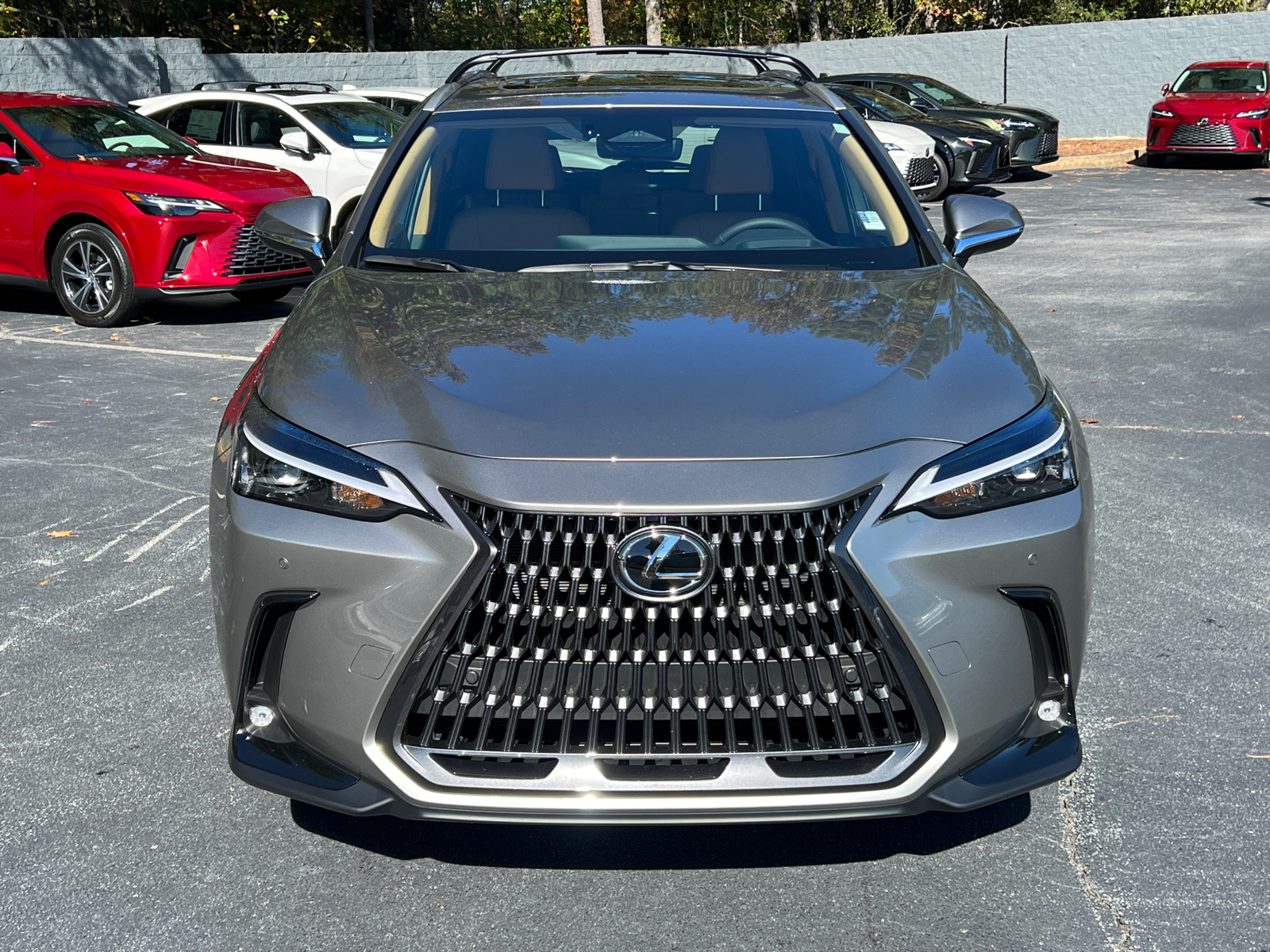 2025 Lexus NX NX 350h Premium 2