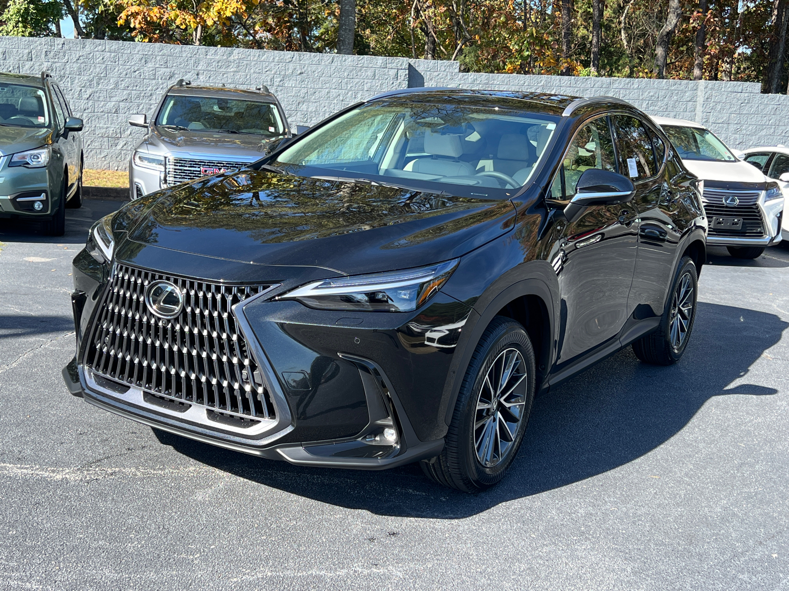 2025 Lexus NX NX 350h Luxury 2