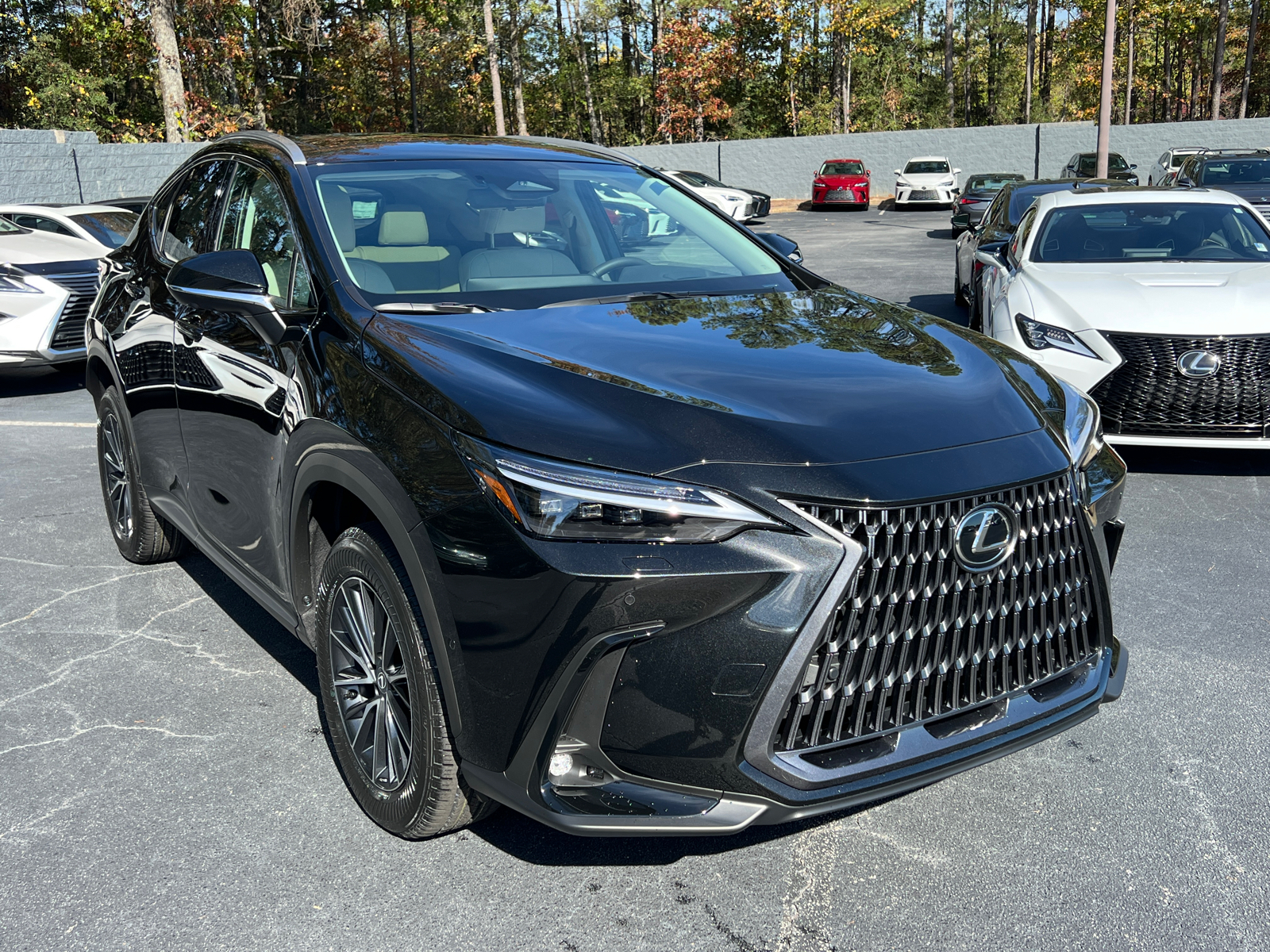 2025 Lexus NX NX 350h Luxury 4