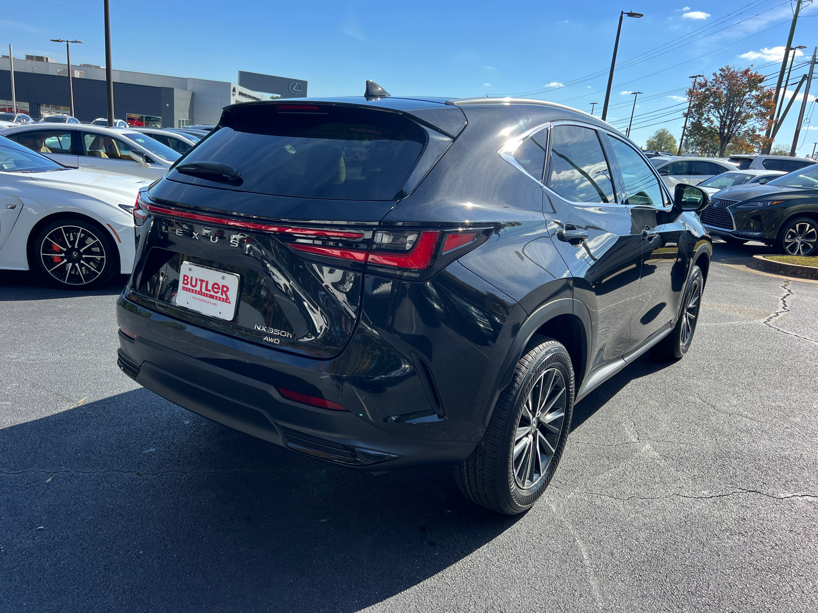 2025 Lexus NX NX 350h Luxury 6