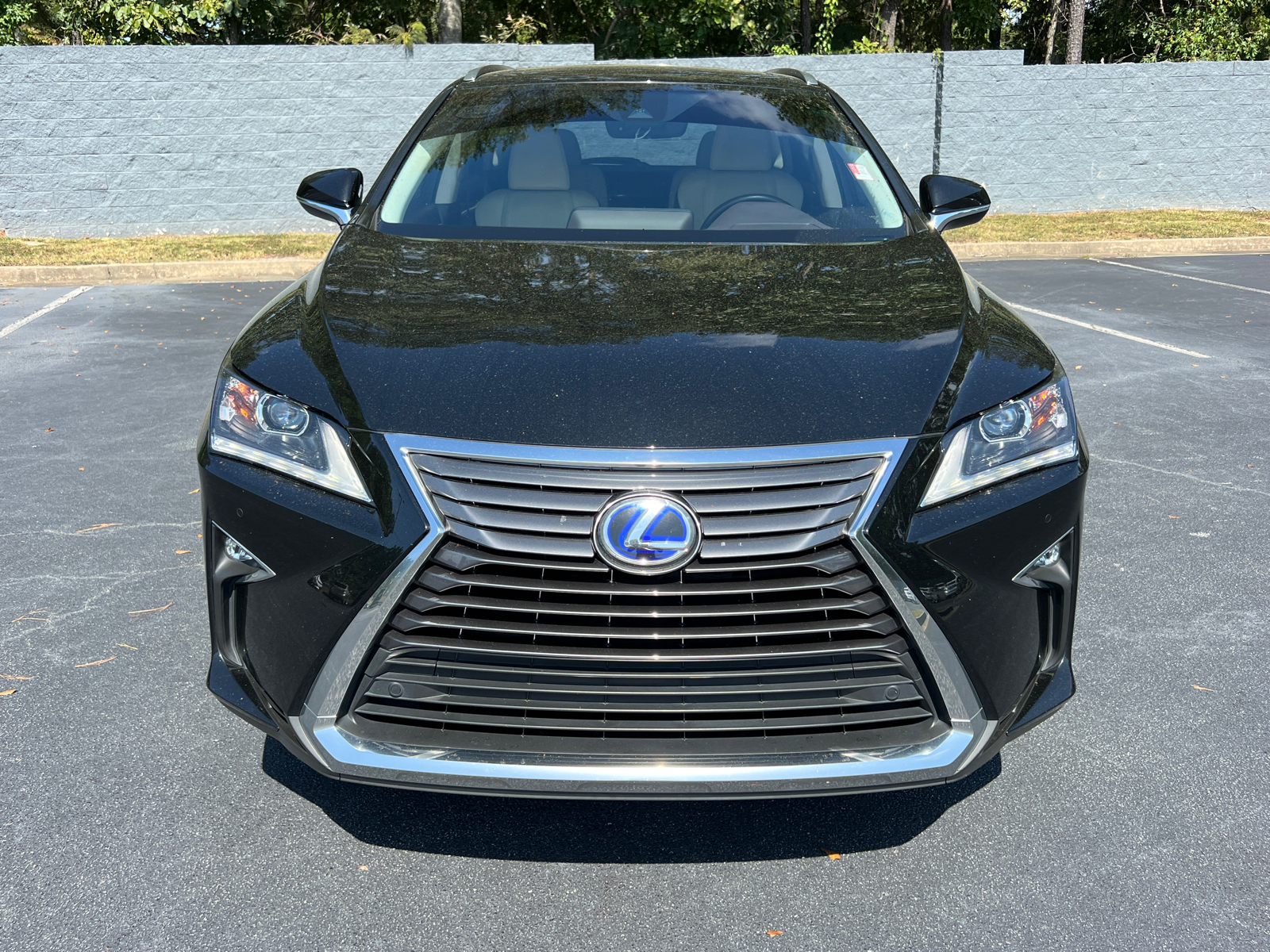 2018 Lexus RX RX 450hL Premium 3