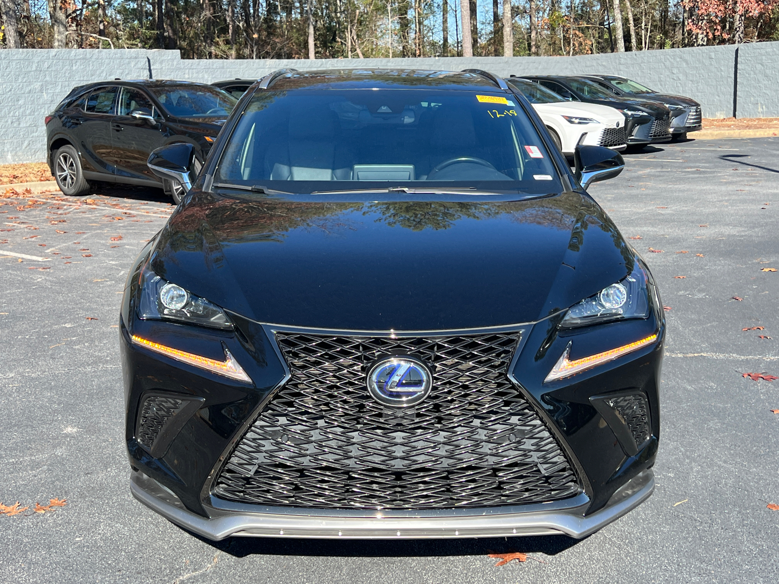 2021 Lexus NX NX 300h F SPORT Black Line 3