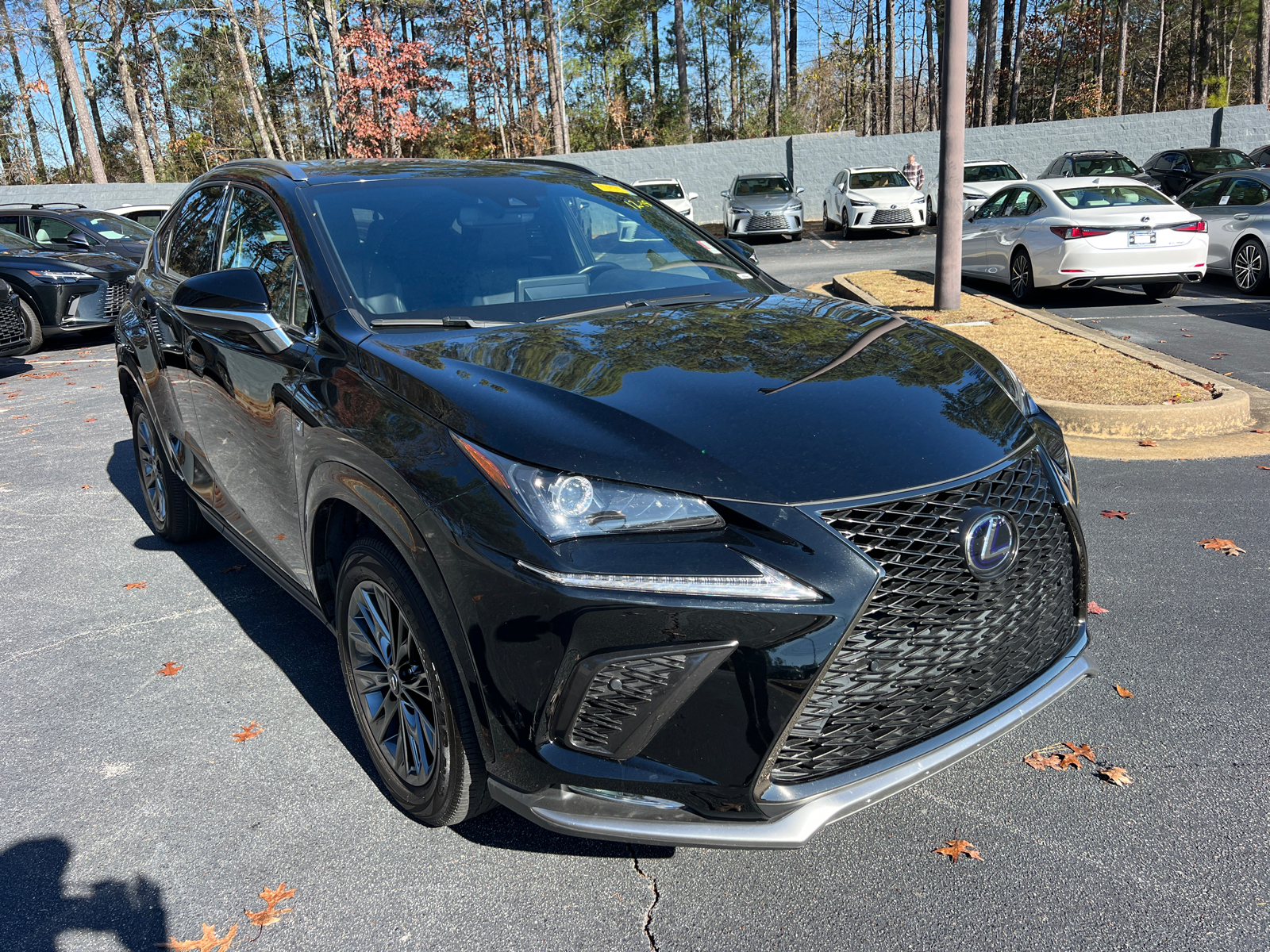 2021 Lexus NX NX 300h F SPORT Black Line 4