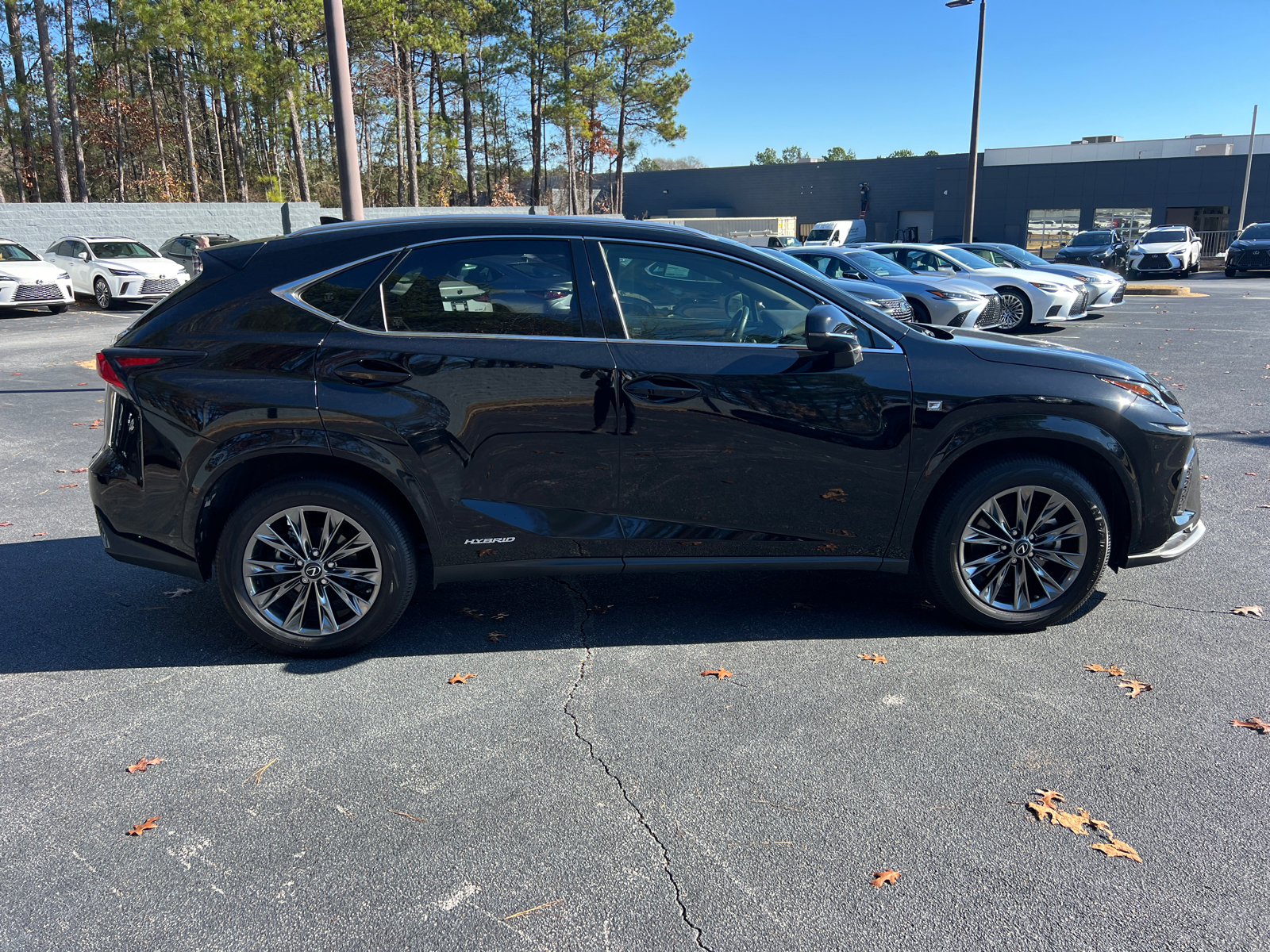 2021 Lexus NX NX 300h F SPORT Black Line 5