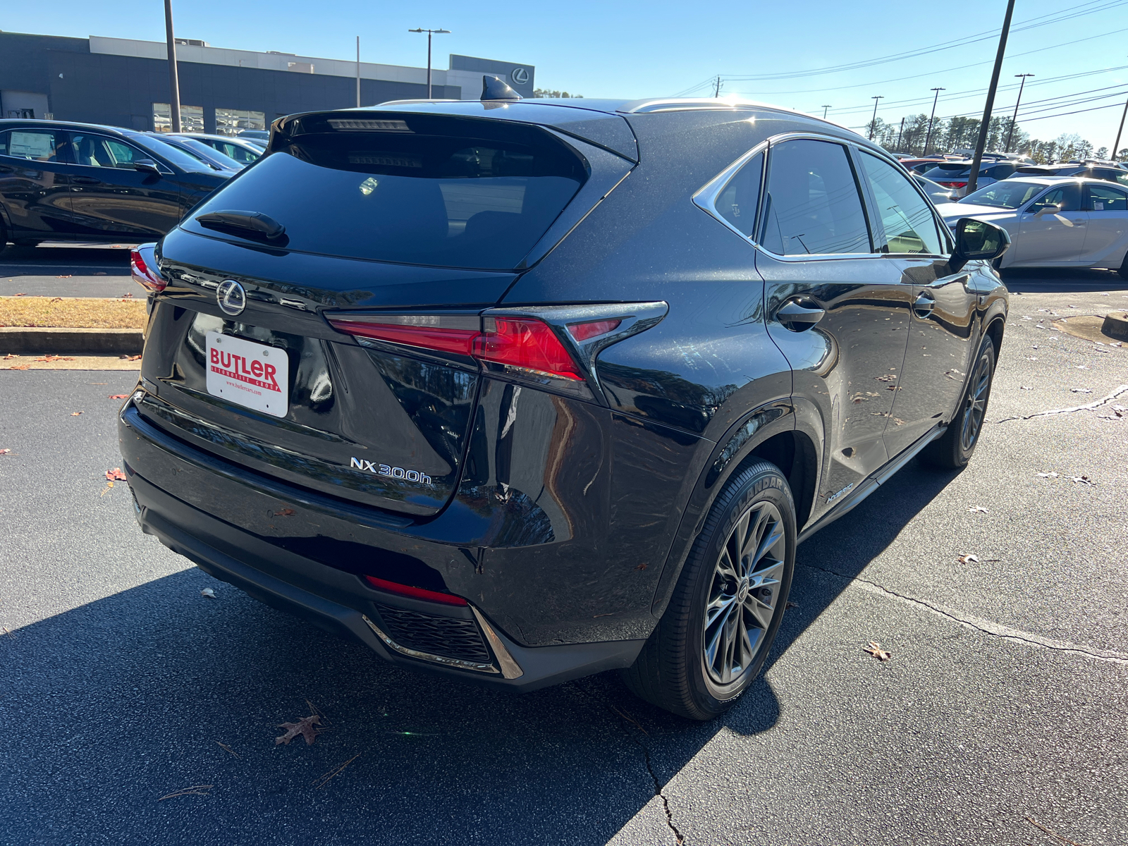 2021 Lexus NX NX 300h F SPORT Black Line 6