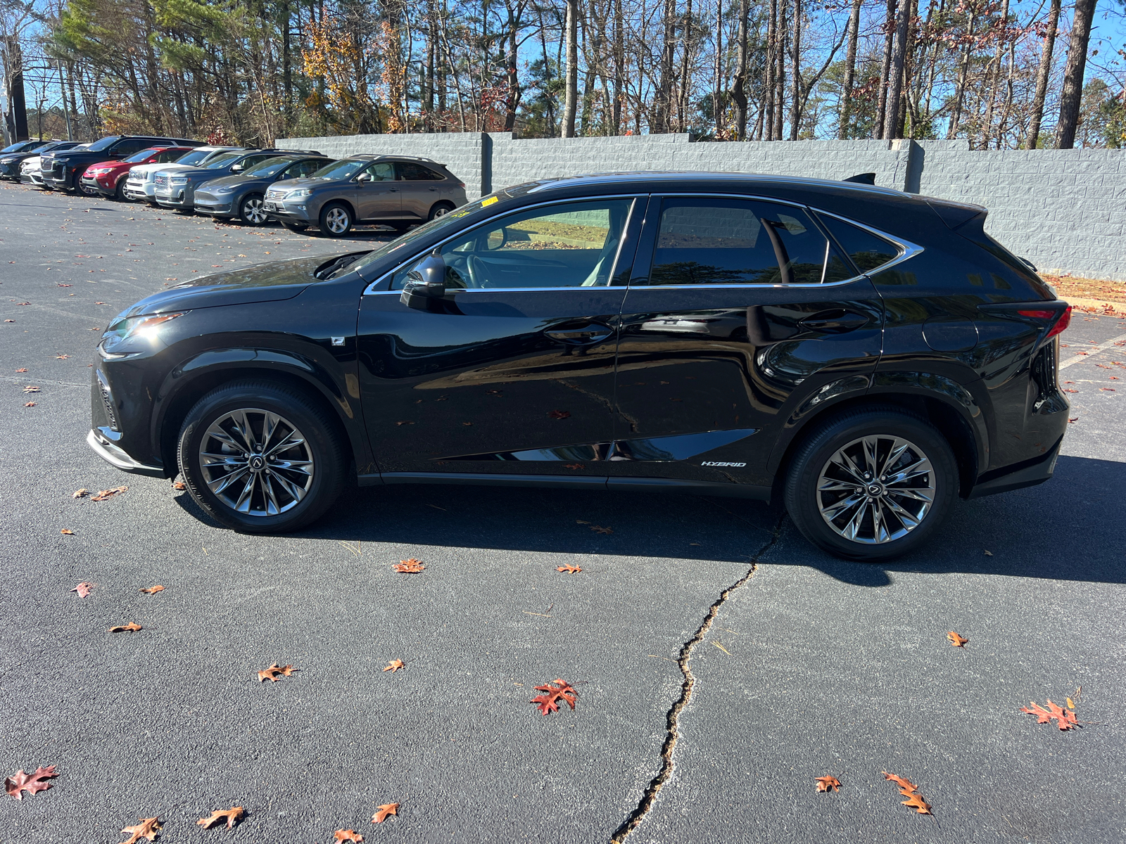 2021 Lexus NX NX 300h F SPORT Black Line 9