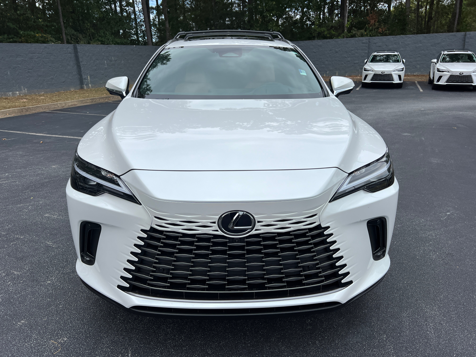 2024 Lexus RX RX 350 Premium Plus 3