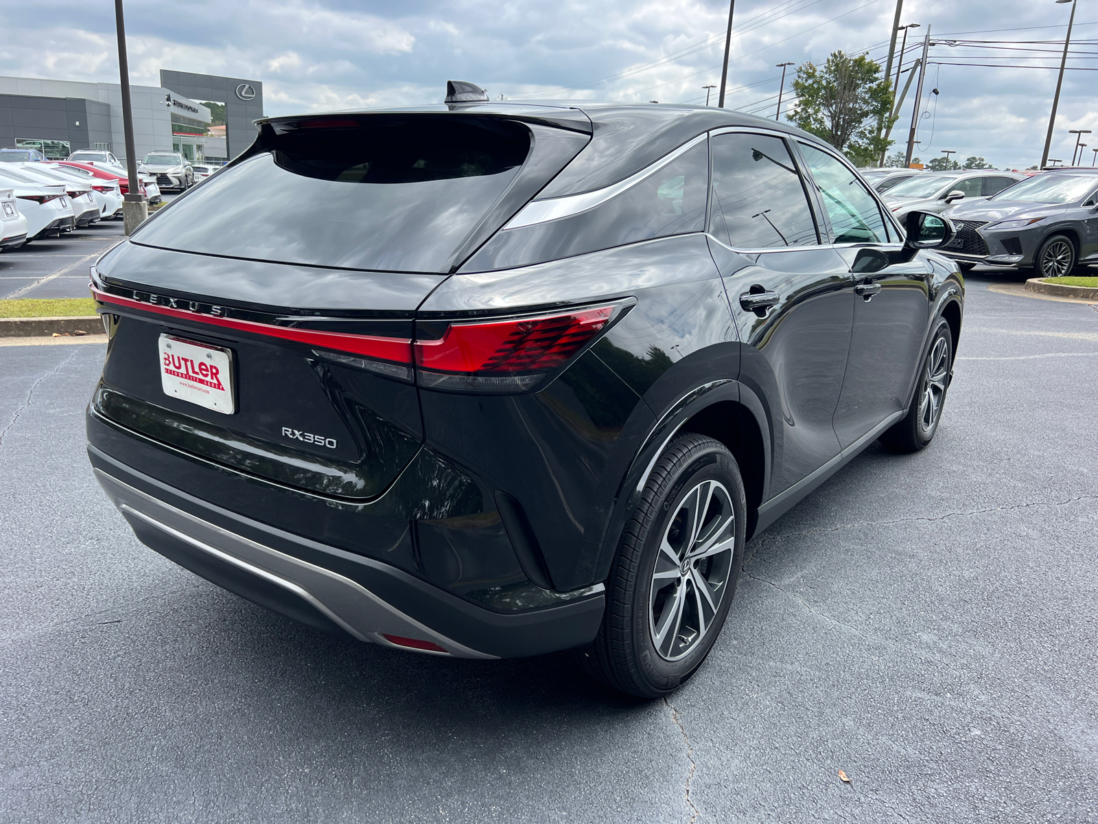 2024 Lexus RX RX 350 6