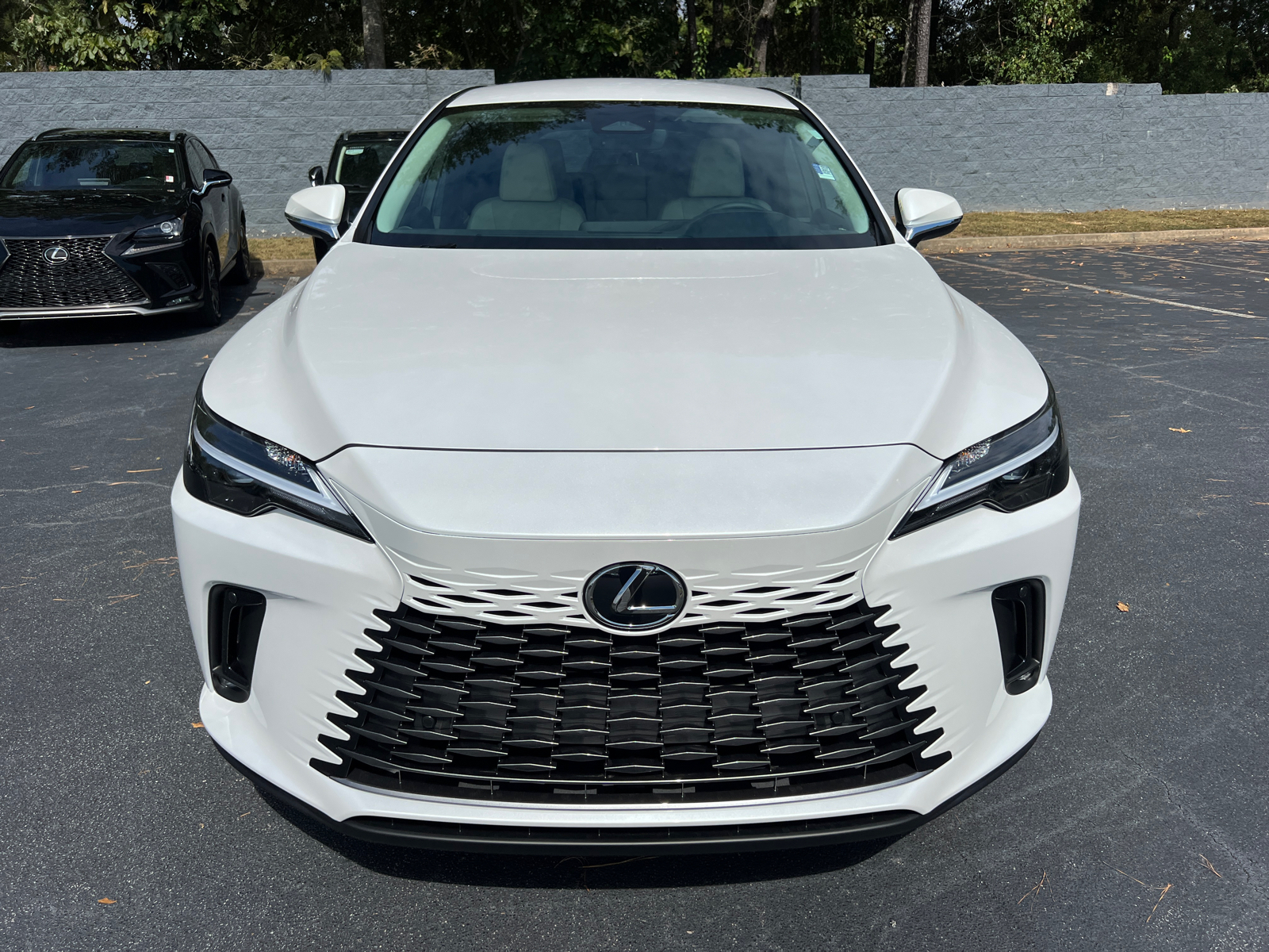 2024 LEXUS RX 350  3