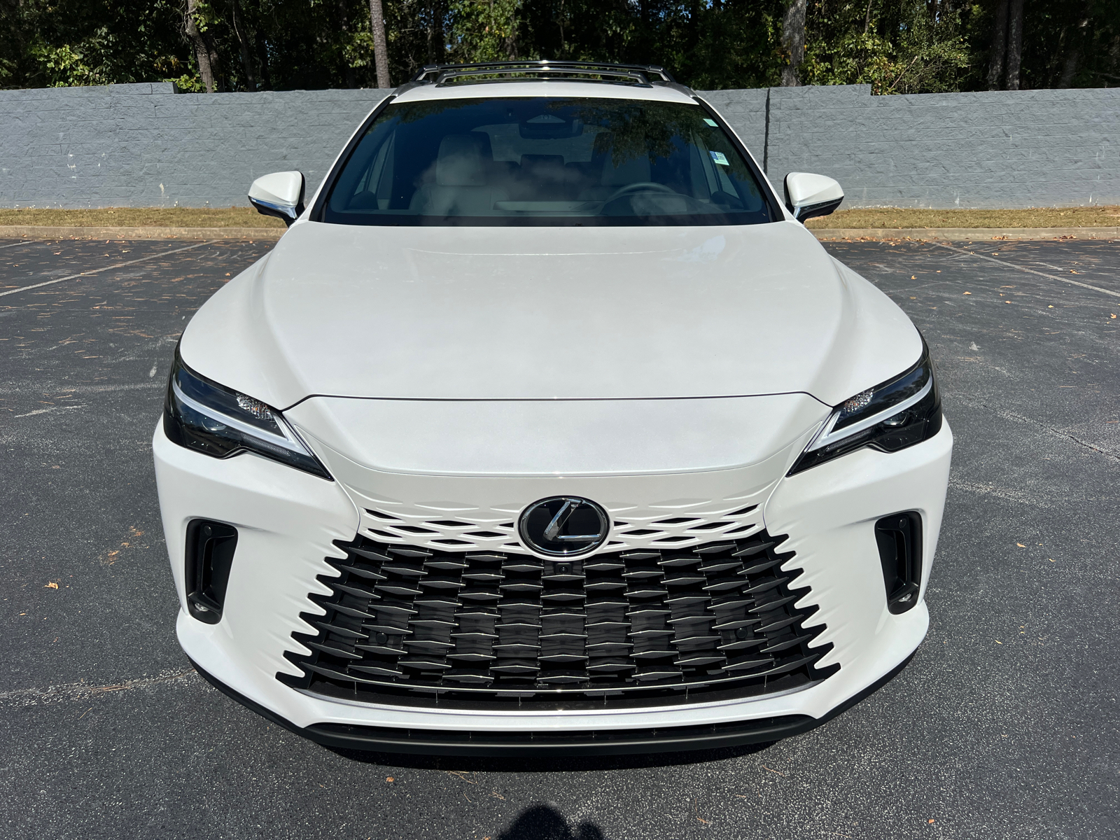 2024 Lexus RX RX 350 Premium Plus 3