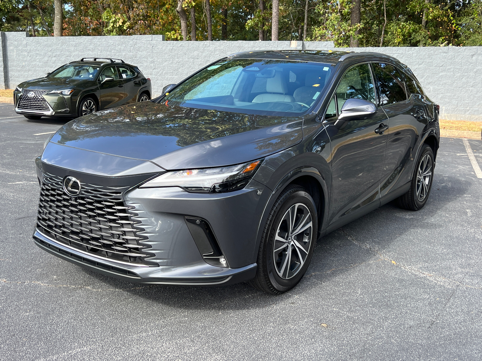 2024 Lexus RX RX 350 Premium 2