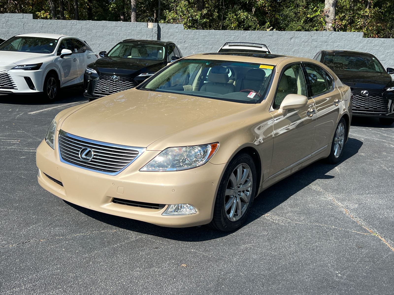 2009 Lexus LS 460  2