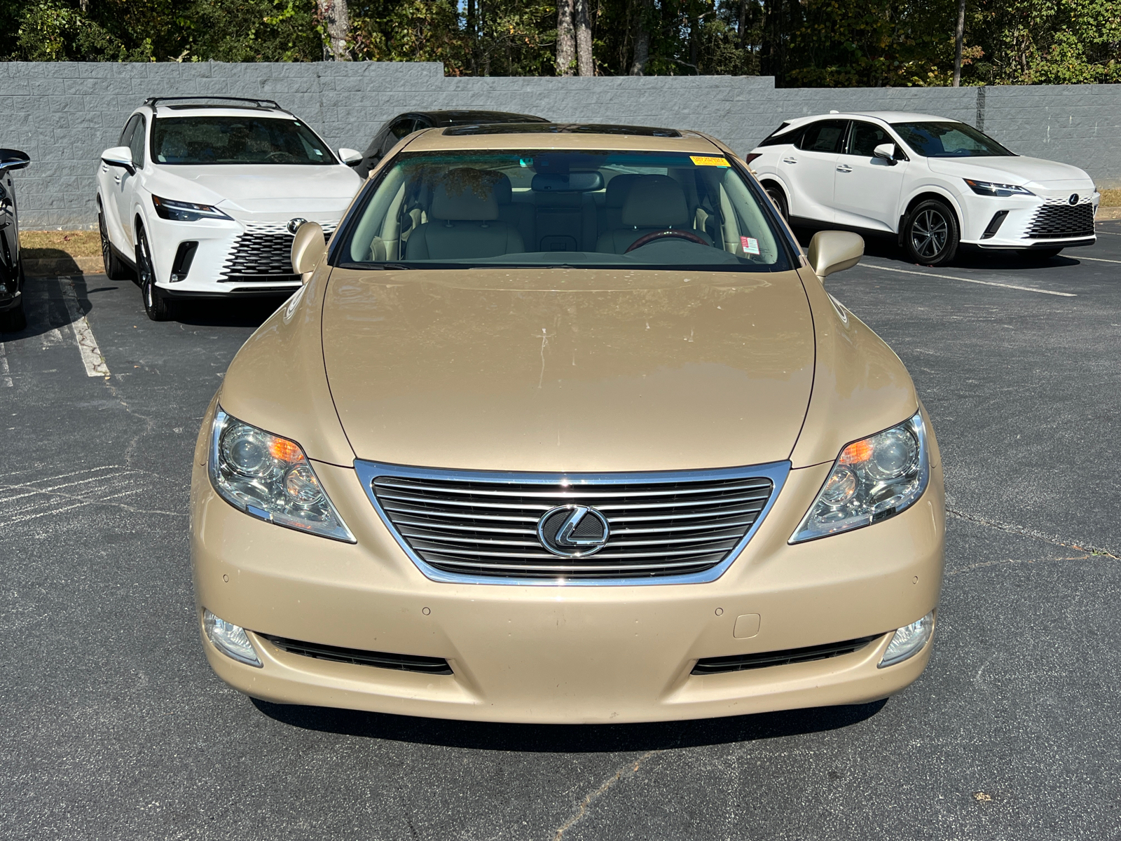 2009 Lexus LS 460  3